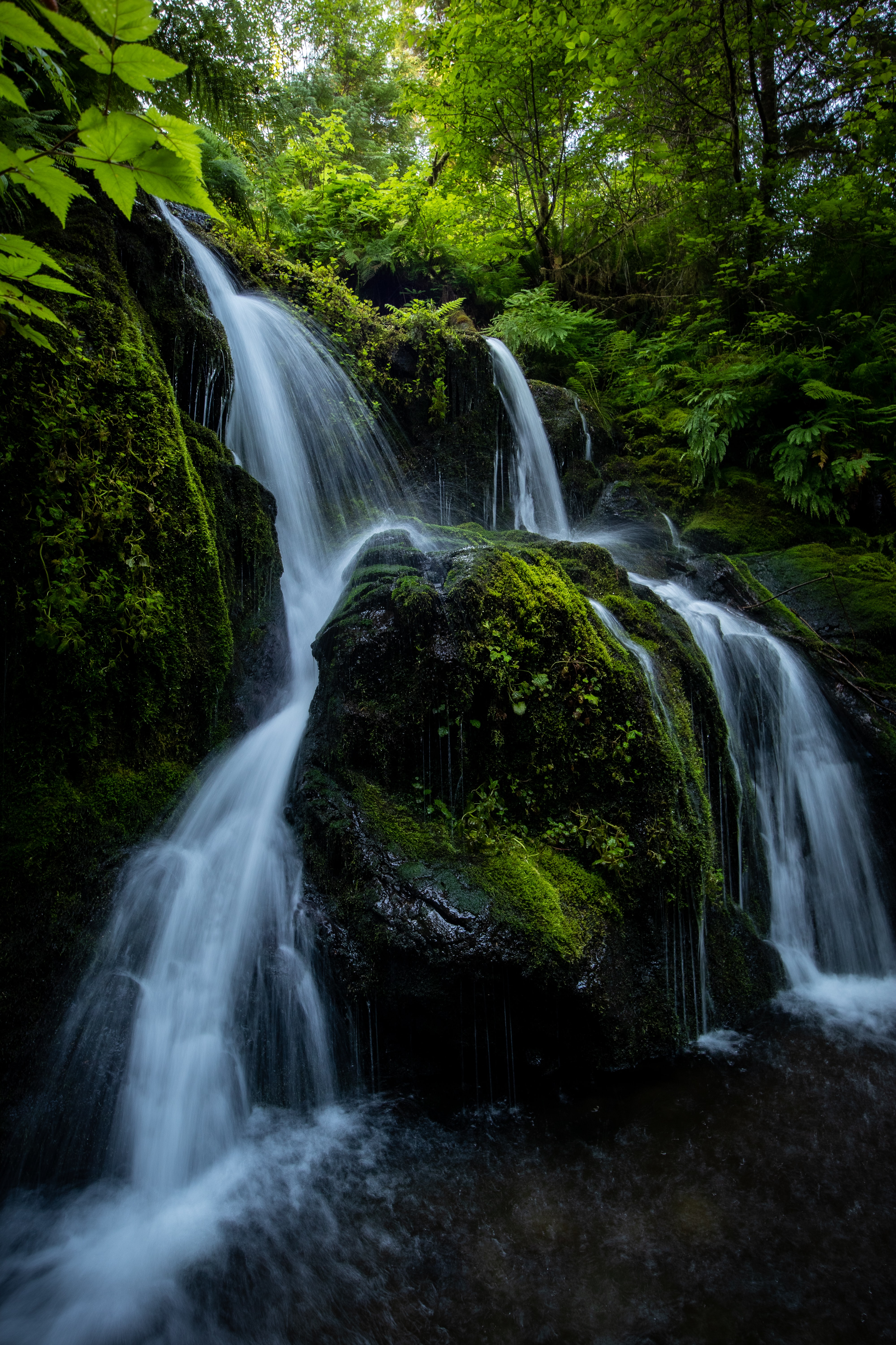 Download mobile wallpaper Branches, Stream, Stones, Waterfall, Flow, Nature, Plants for free.