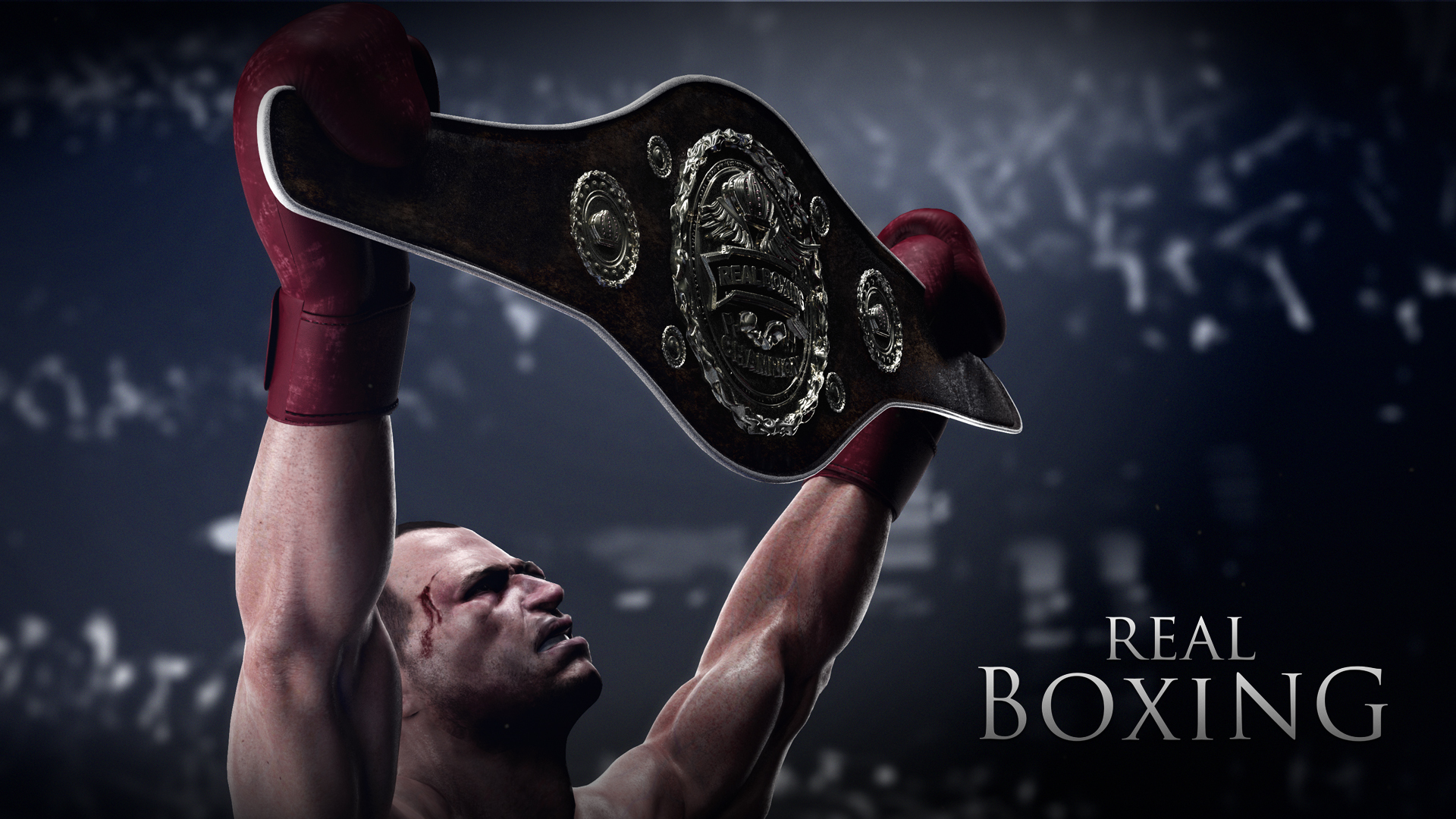 video game, real boxing