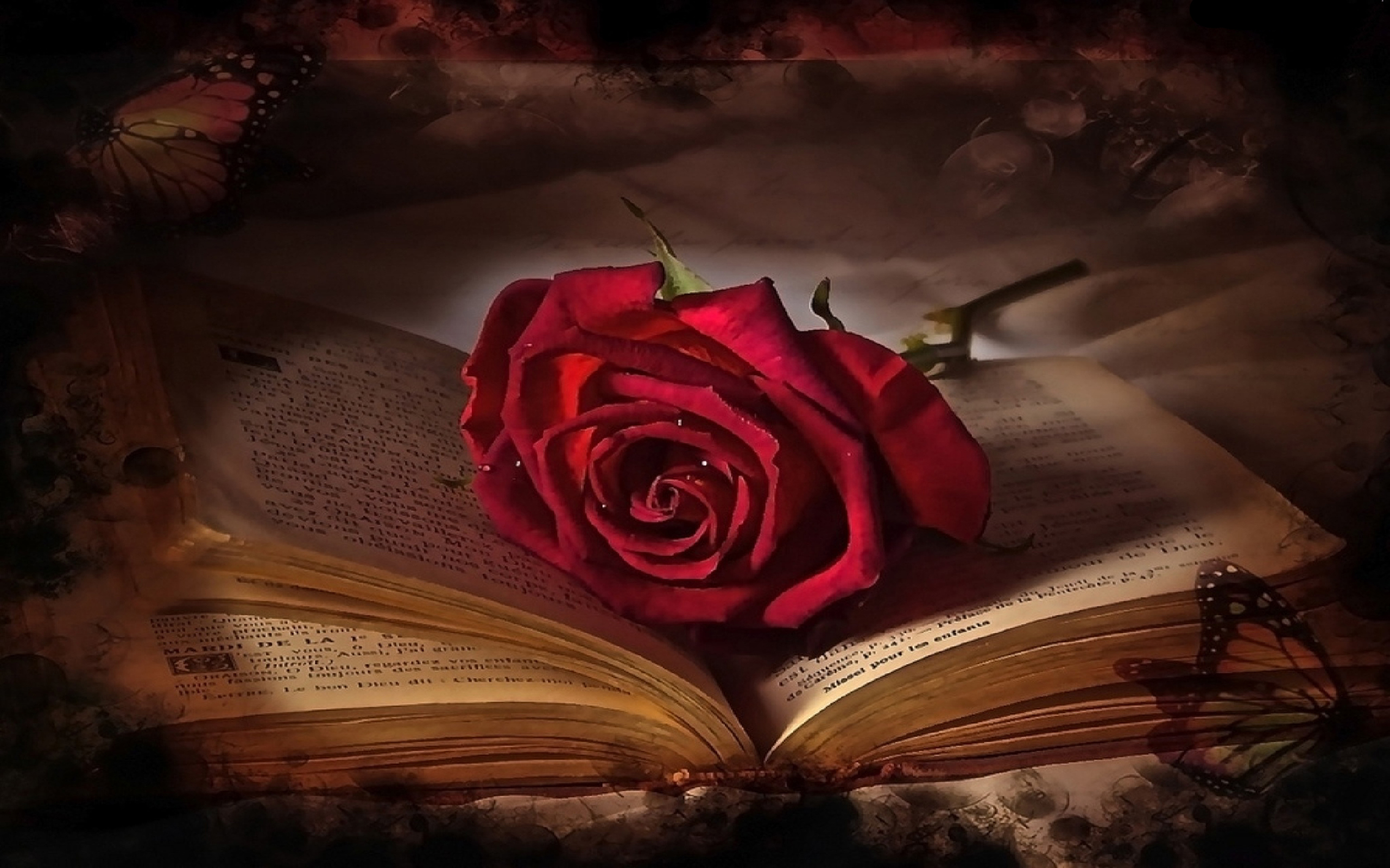 735983 скачать обои любовь, книга, роза, бабочка, день святого валентина, фотографии, красная роза - заставки и картинки бесплатно