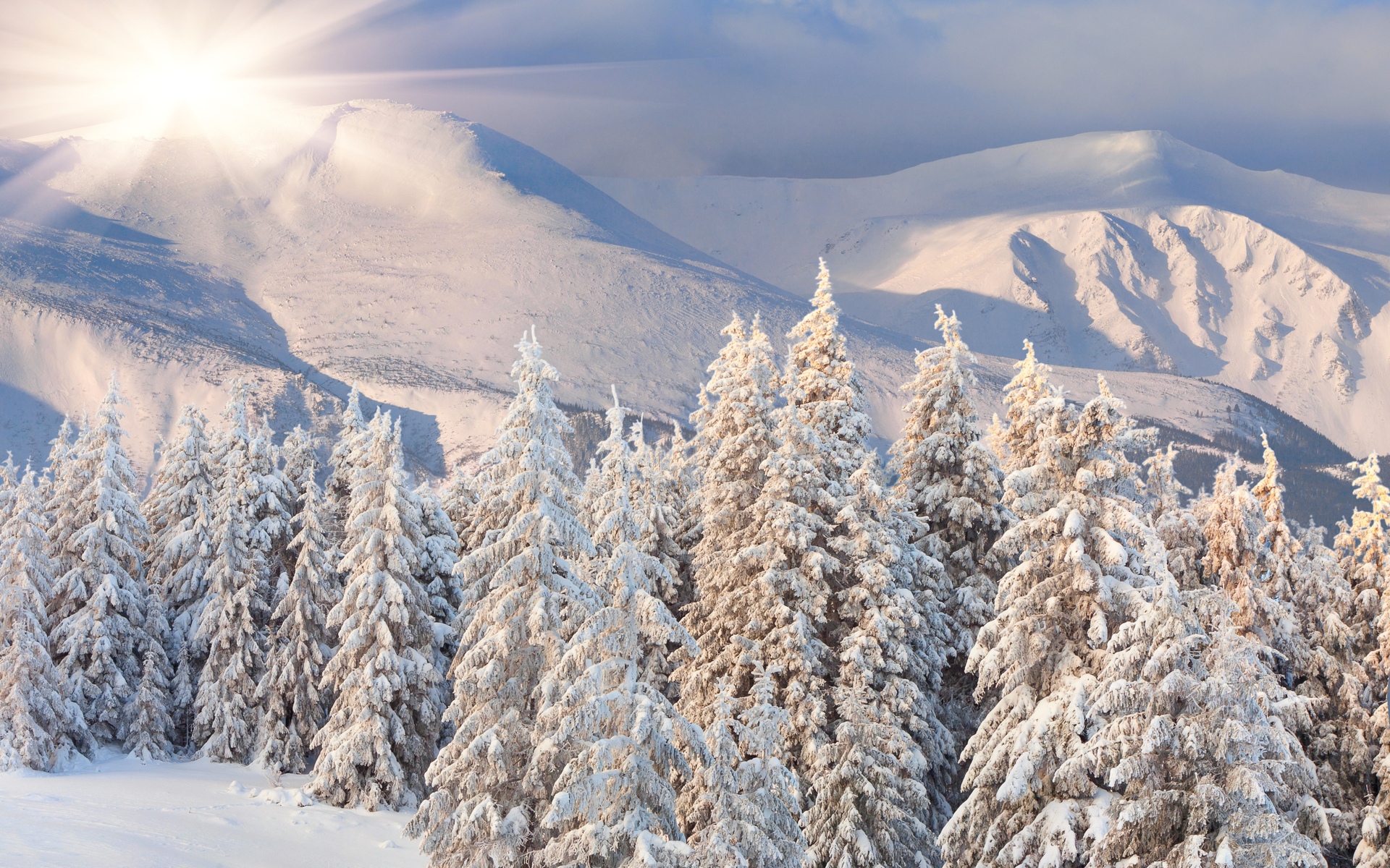 PCデスクトップに冬, 木, 雪, 山, 森, 地球画像を無料でダウンロード