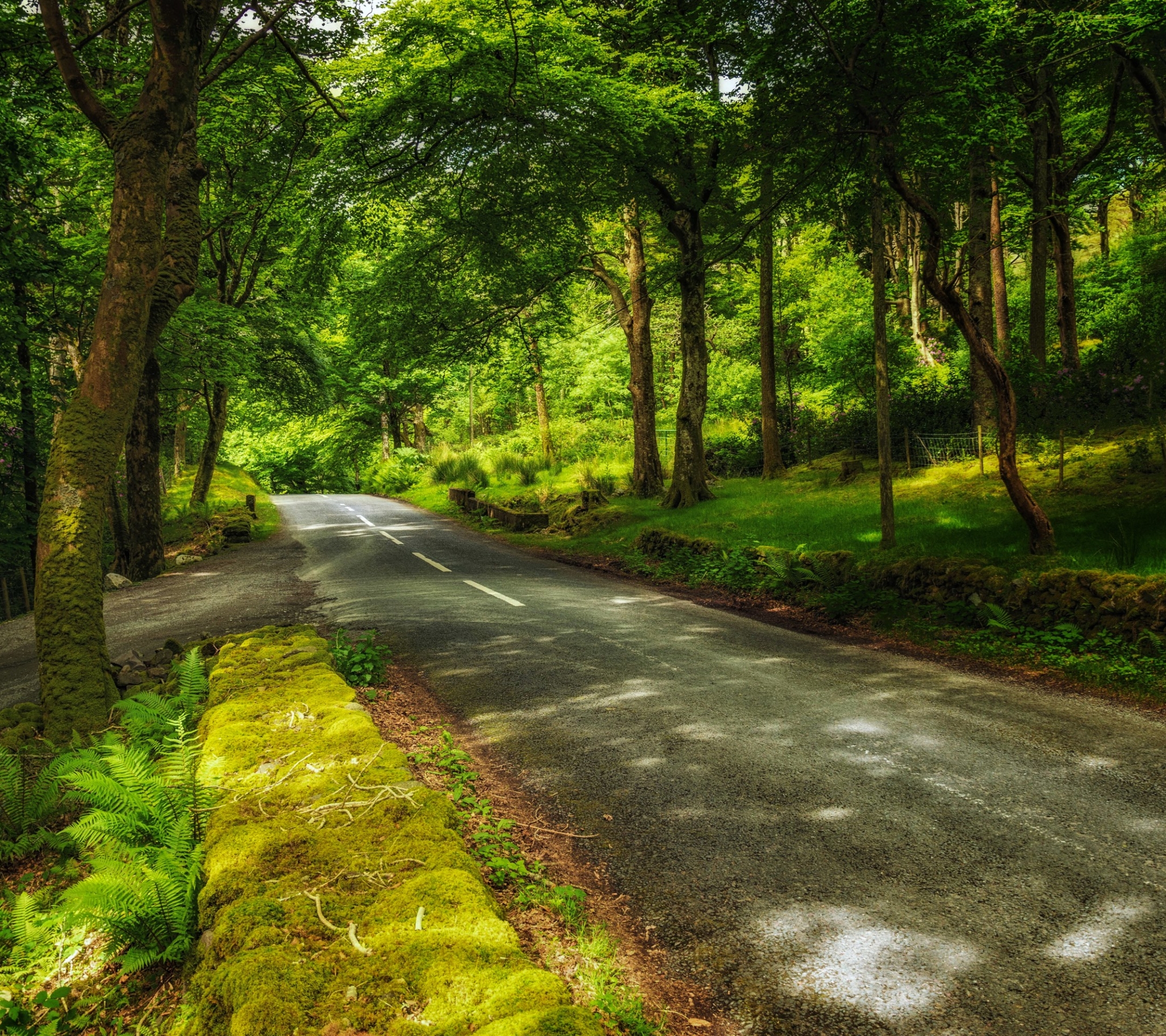 Descarga gratis la imagen Naturaleza, Árbol, Carretera, Hecho Por El Hombre, Verdor en el escritorio de tu PC