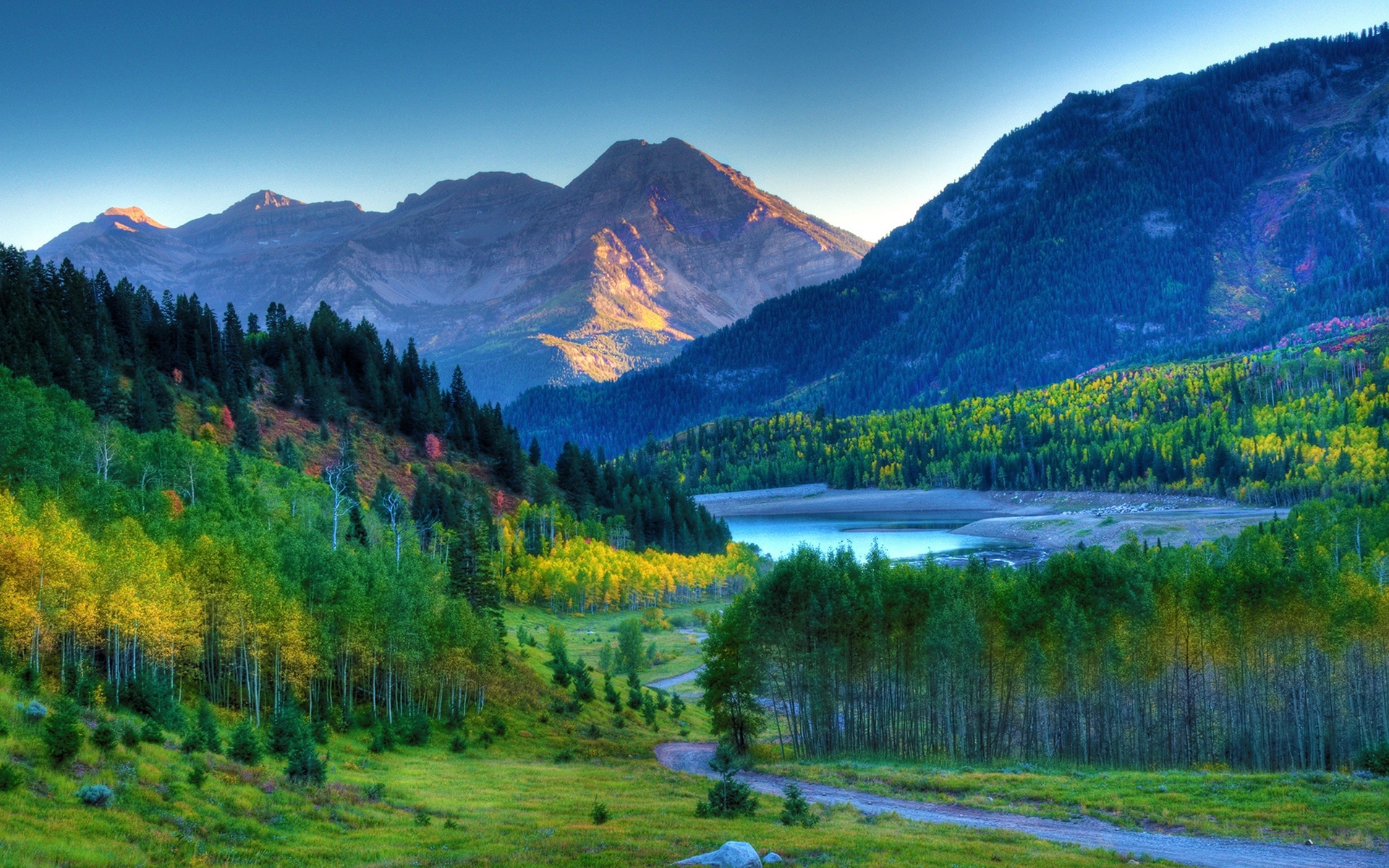 Скачать обои бесплатно Пейзаж, Осень, Гора, Лес, Дерево, Земля/природа картинка на рабочий стол ПК