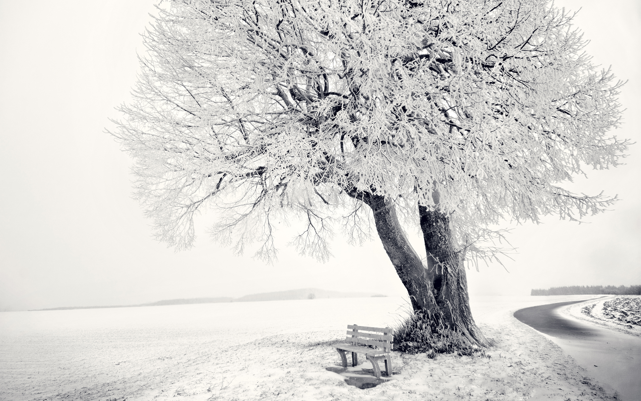Download mobile wallpaper Bench, Field, Snow, Winter, Tree, Earth, Landscape for free.