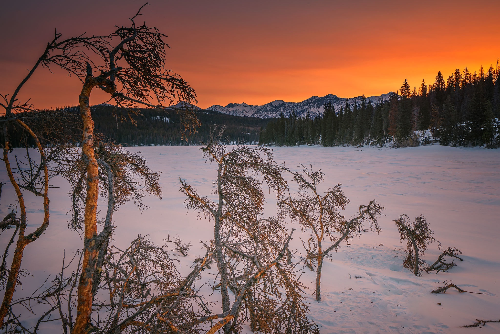 Download mobile wallpaper Winter, Mountain, Canada, Tree, Earth for free.