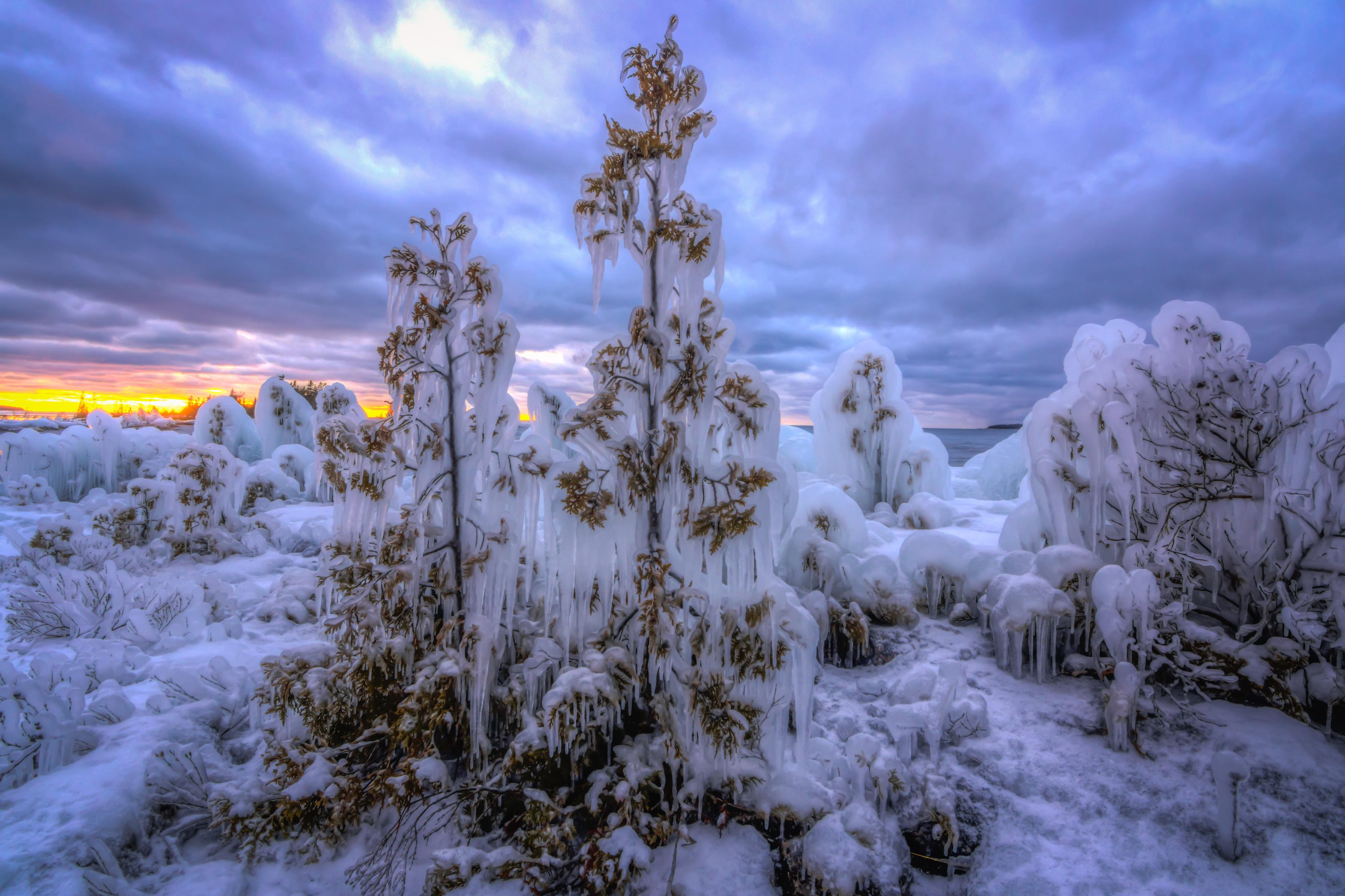 Free download wallpaper Winter, Sunset, Snow, Tree, Earth, Frozen, Cloud on your PC desktop
