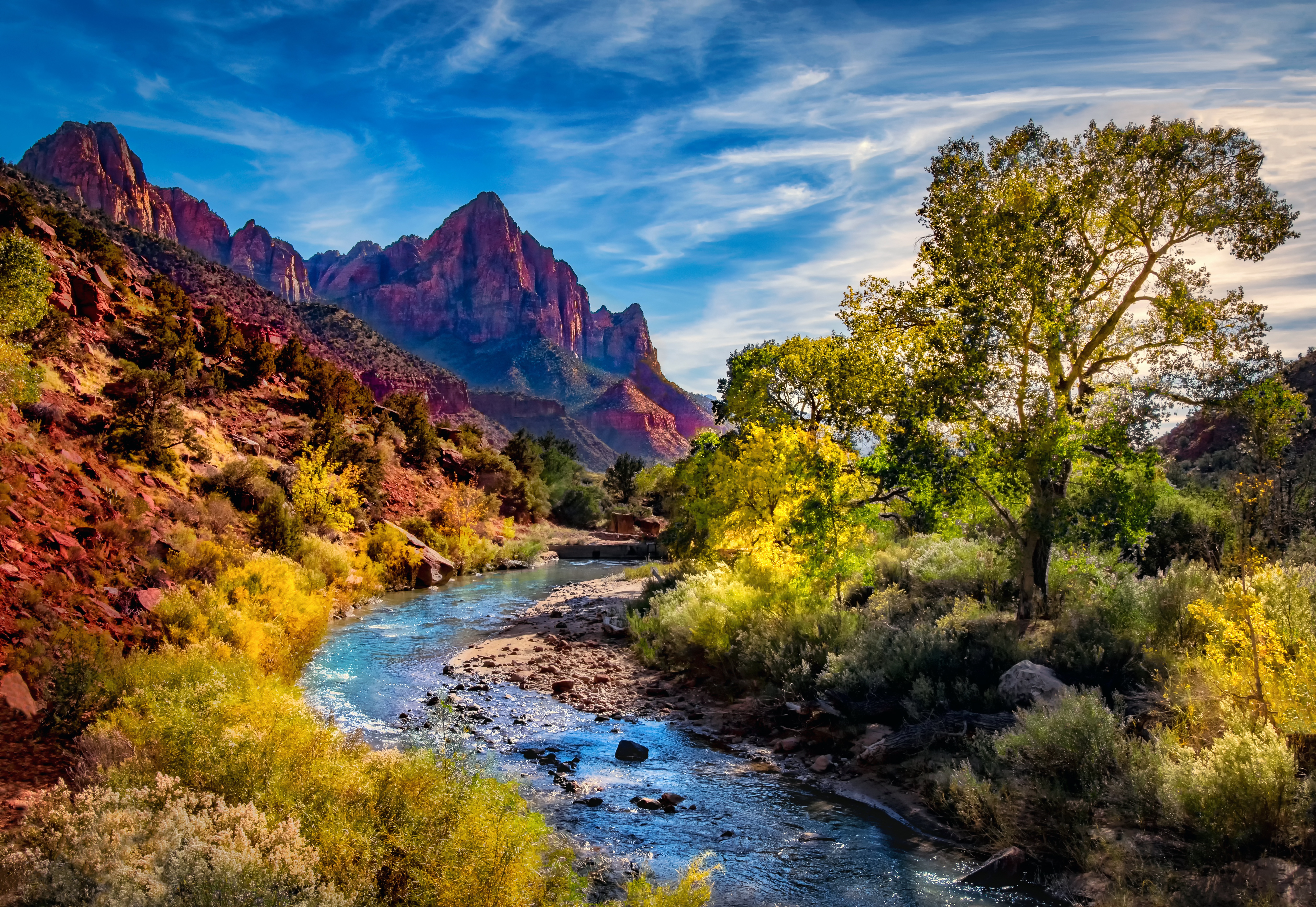zion national park, earth, canyon, landscape, mountain, river, tree, national park