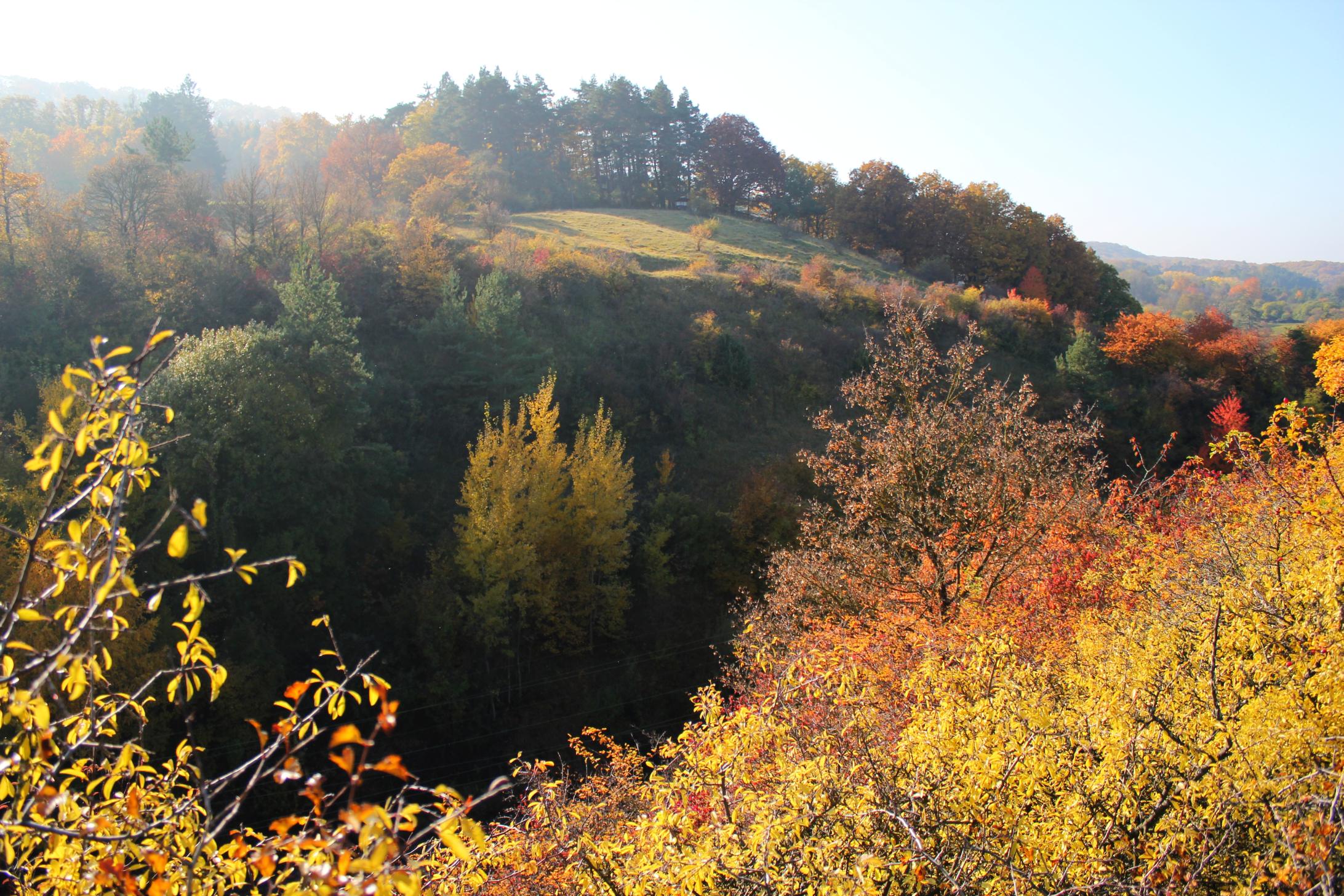 Handy-Wallpaper Herbst, Erde/natur kostenlos herunterladen.