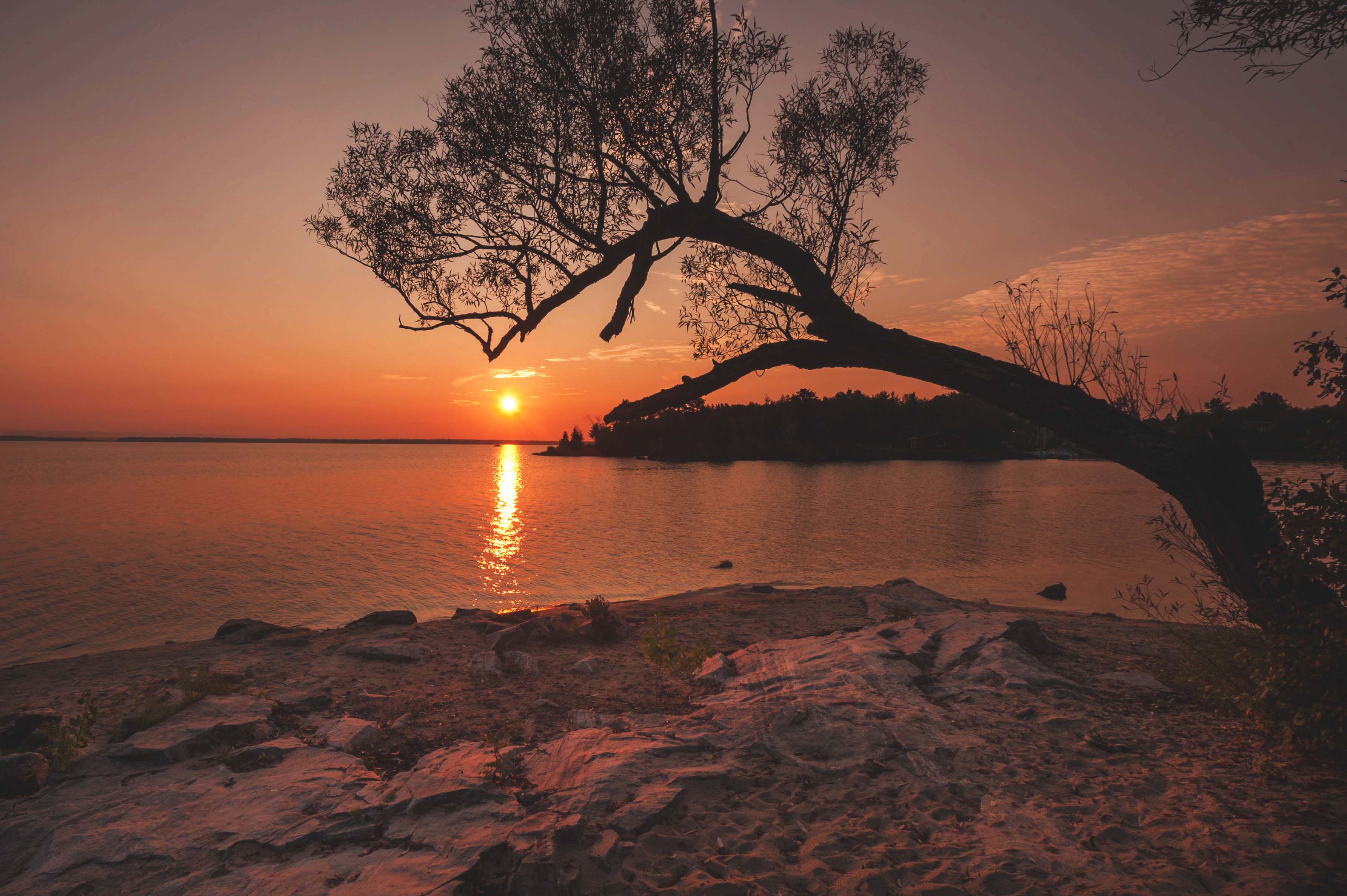 Free download wallpaper Rivers, Sunset, Shore, Bank, Wood, Tree, Nature on your PC desktop