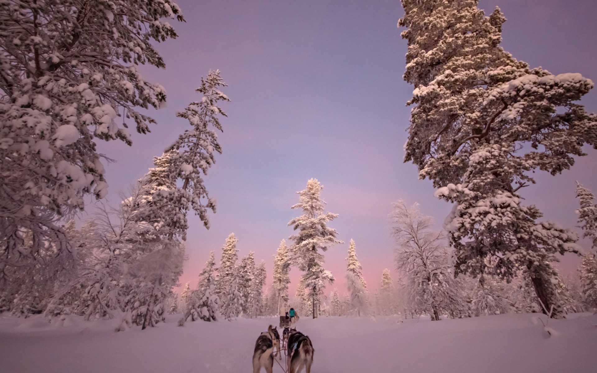 Descarga gratuita de fondo de pantalla para móvil de Invierno, Nieve, Fotografía.
