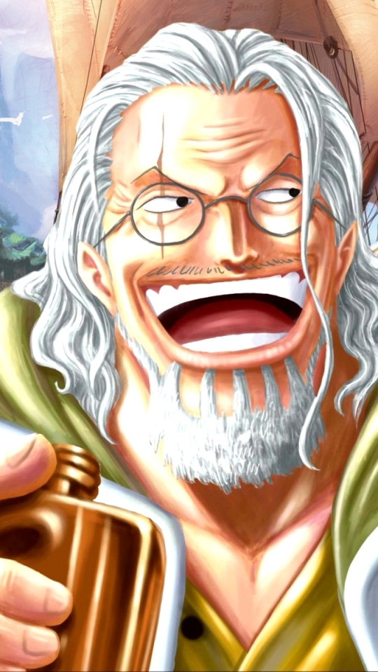 Download mobile wallpaper Anime, One Piece, Rayleigh Silvers for free.