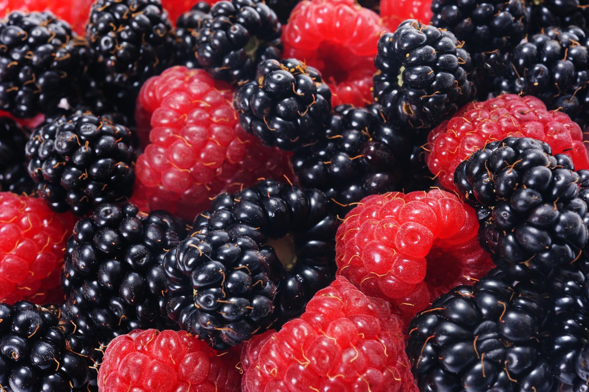 Free download wallpaper Food, Raspberry, Blackberry, Berry, Fruit on your PC desktop