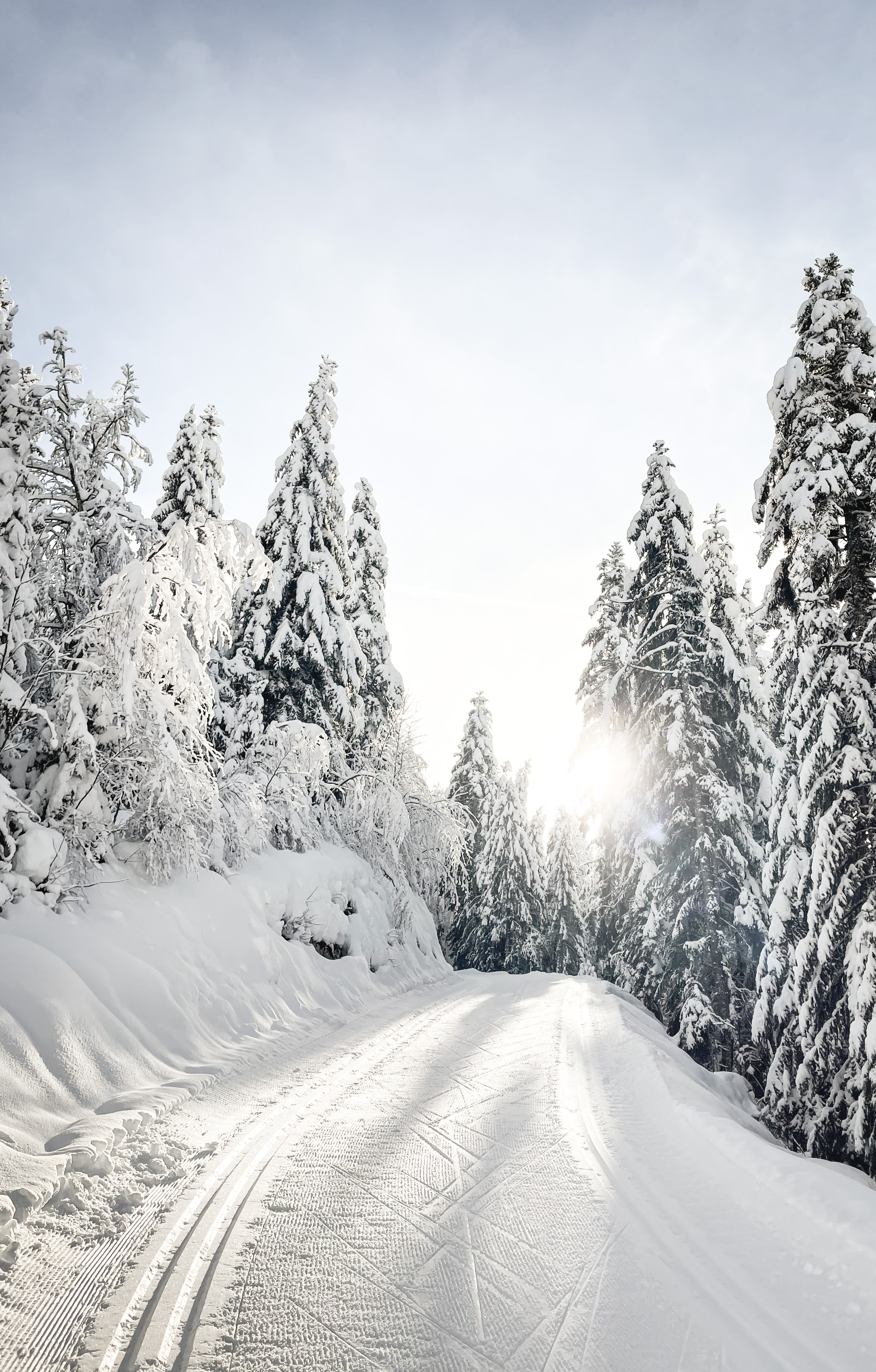 Download mobile wallpaper Snowbound, Snow, Road, Nature, Trees, Snow Covered, Winter for free.