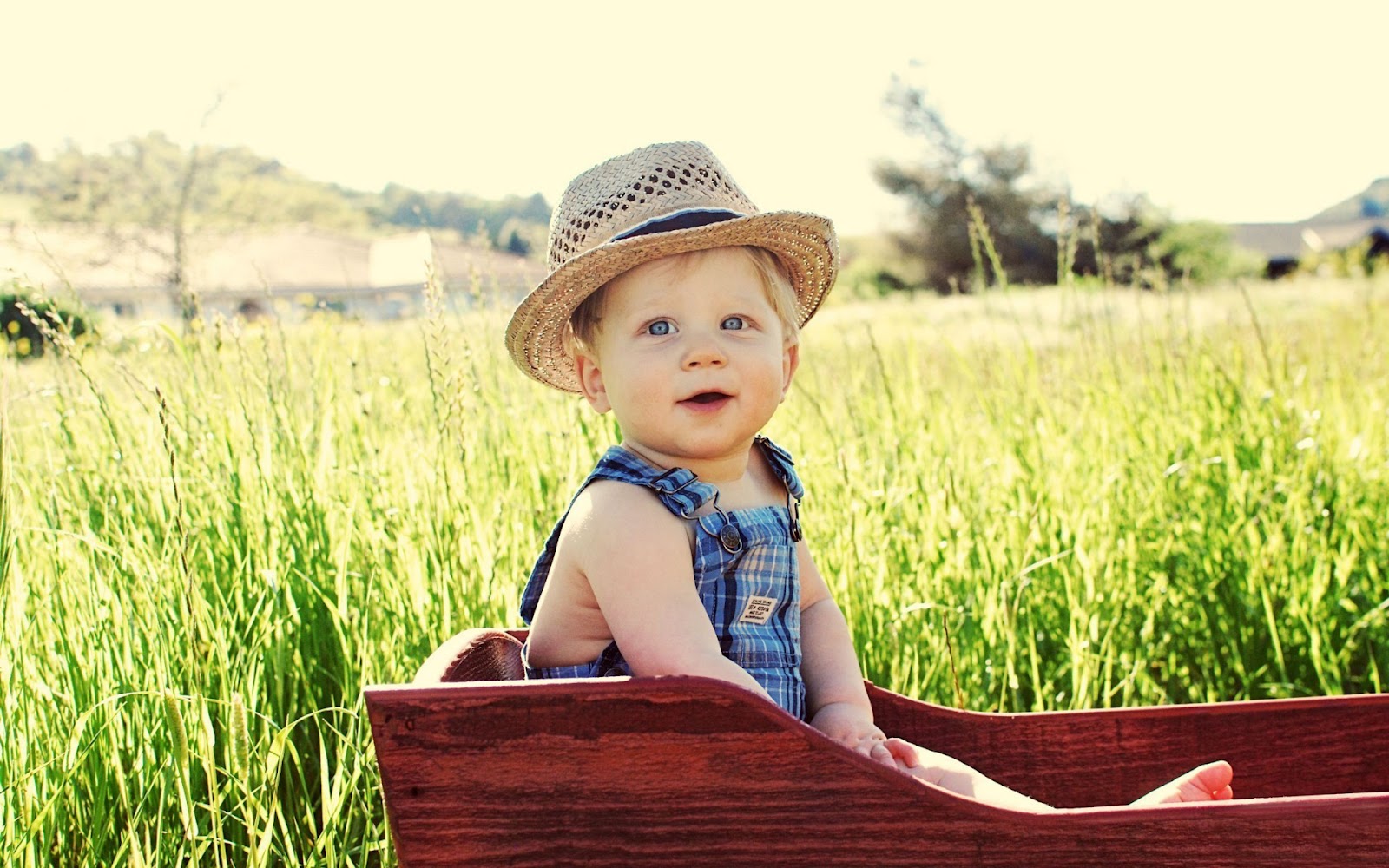 Laden Sie das Fotografie, Baby-Bild kostenlos auf Ihren PC-Desktop herunter