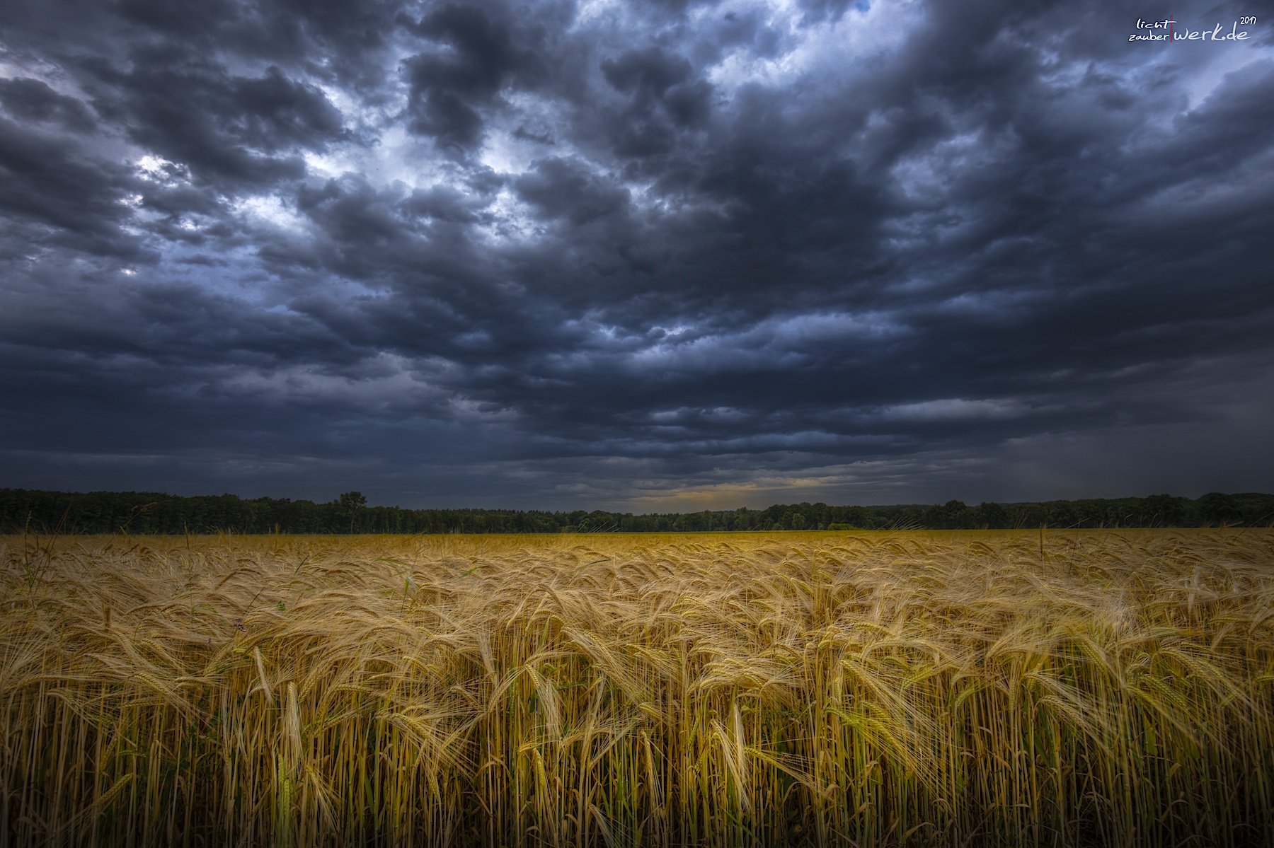 Download mobile wallpaper Sky, Wheat, Earth, Field, Mood, Cloud for free.
