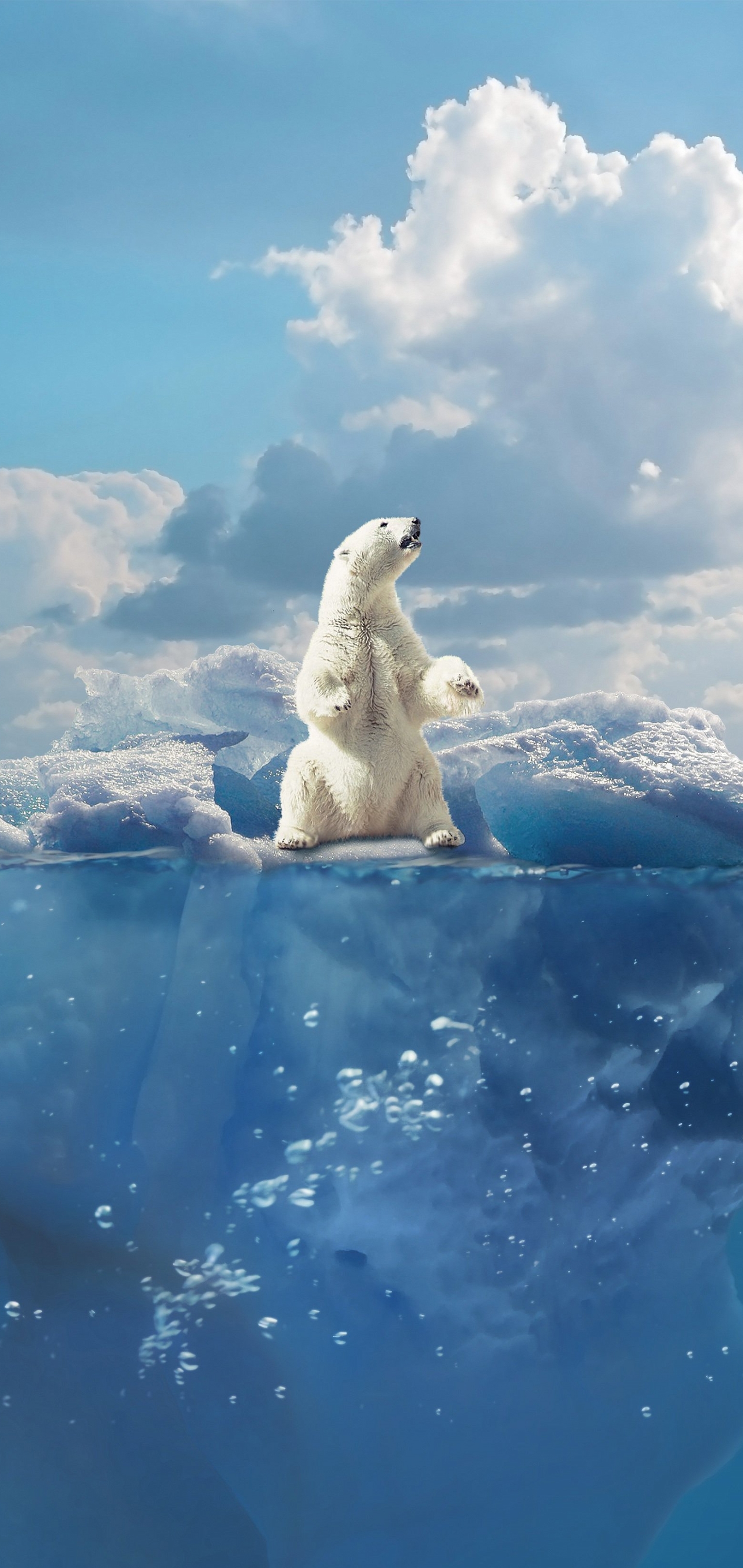Descarga gratis la imagen Animales, Agua, Cielo, Hielo, Oso, Iceberg, Nube, Oso Polar, Osos, Llevar en el escritorio de tu PC
