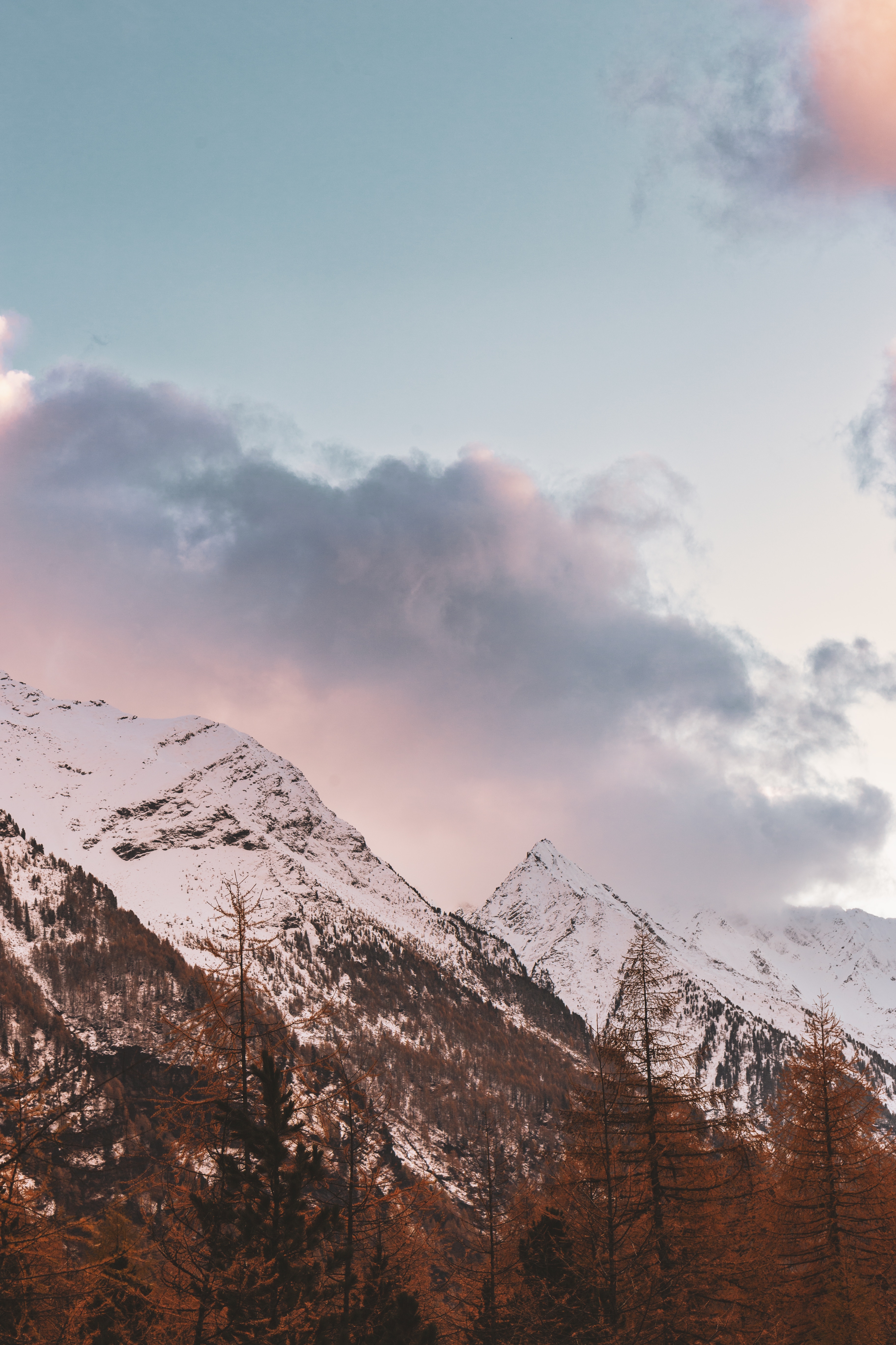 104458 descargar fondo de pantalla naturaleza, árboles, otoño, nubes, italia, montaña, vértice, arriba, cubierto de nieve, nevado: protectores de pantalla e imágenes gratis