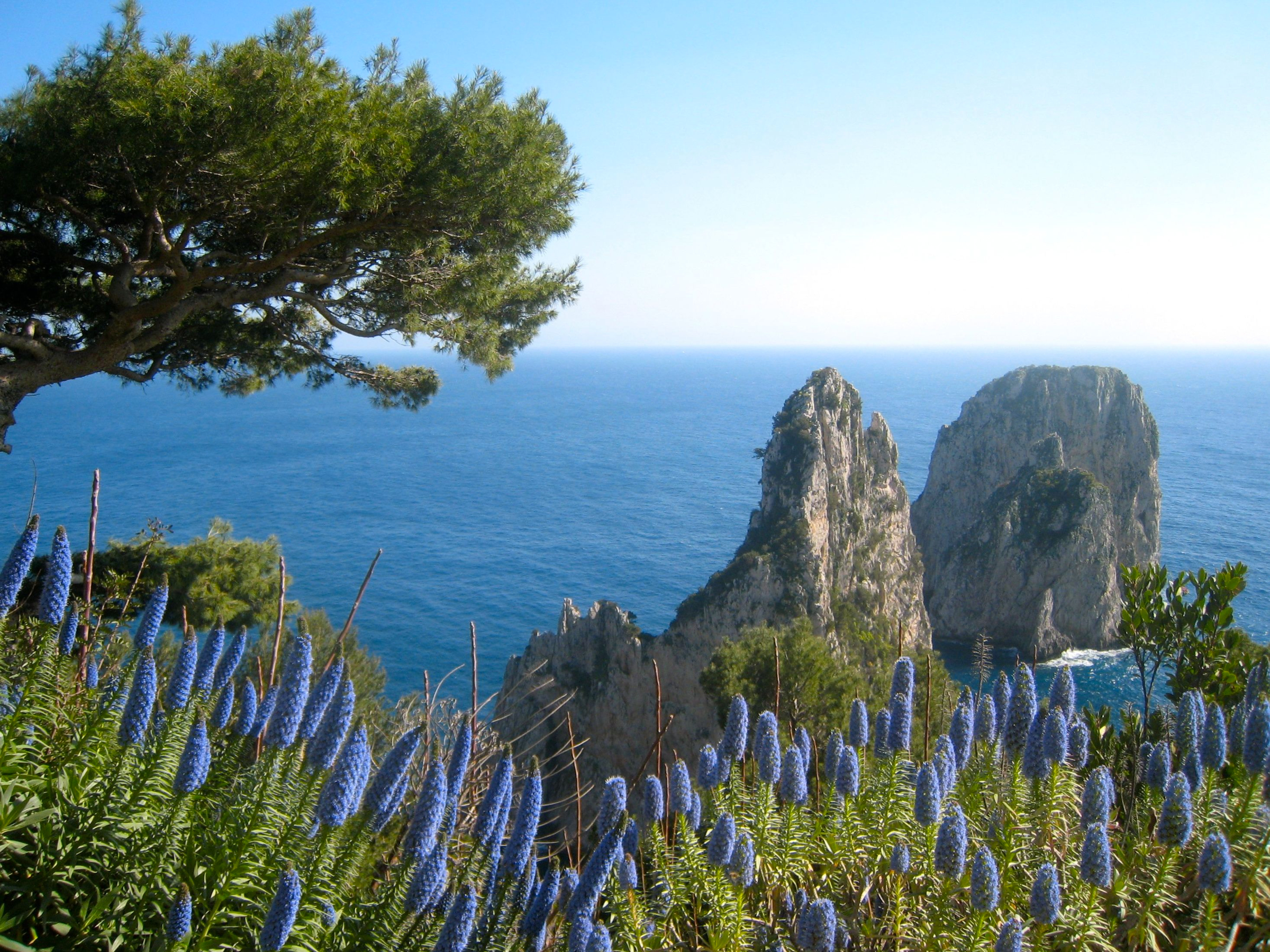 Descarga gratuita de fondo de pantalla para móvil de Mar, Horizonte, Flor, Costa, Océano, Tierra/naturaleza.