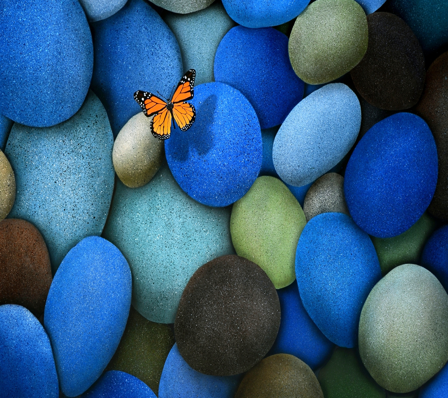 Free download wallpaper Butterfly, Stone, Animal on your PC desktop