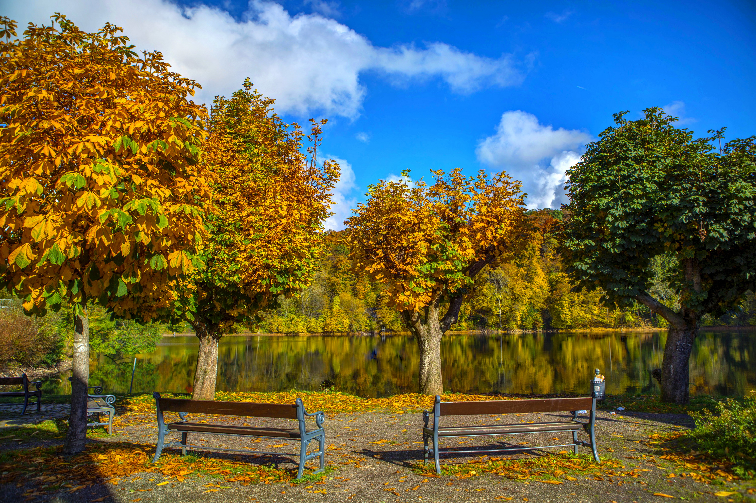 Laden Sie das Herbst, Seen, See, Bank, Baum, Erde, Fotografie-Bild kostenlos auf Ihren PC-Desktop herunter