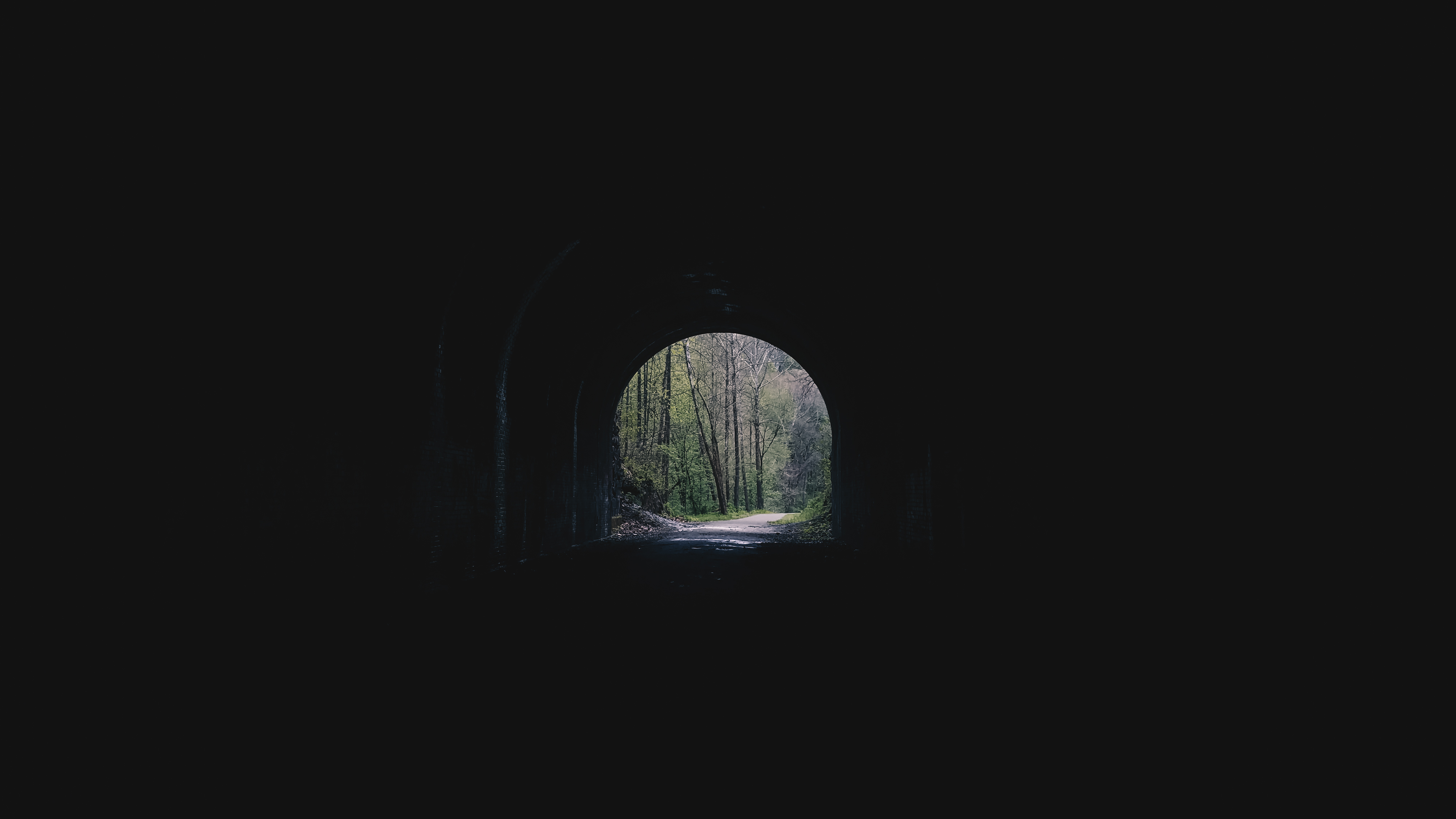 tunnel, dark, alley, trees, arch