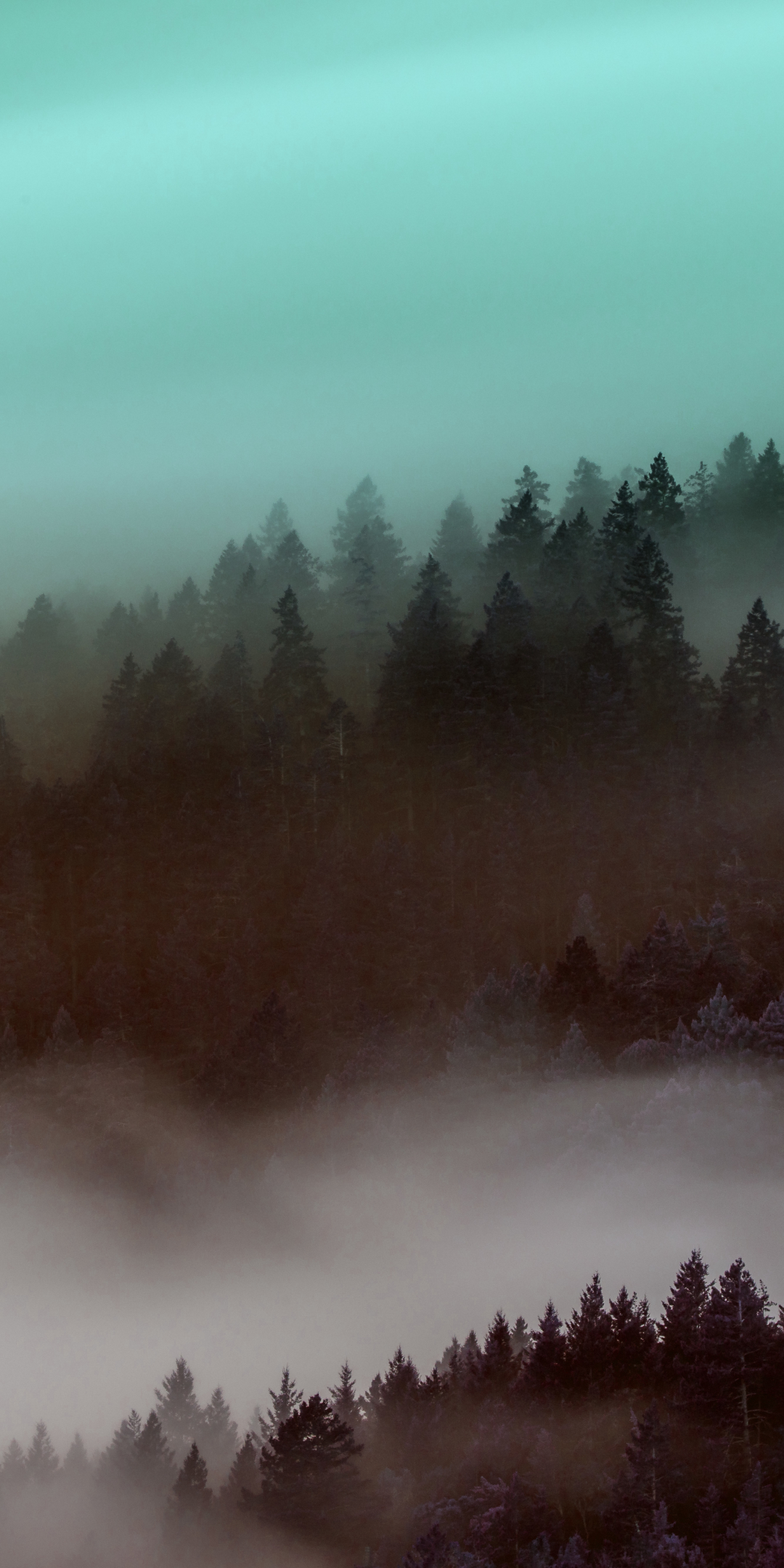 Download mobile wallpaper Forest, Fog, Earth for free.