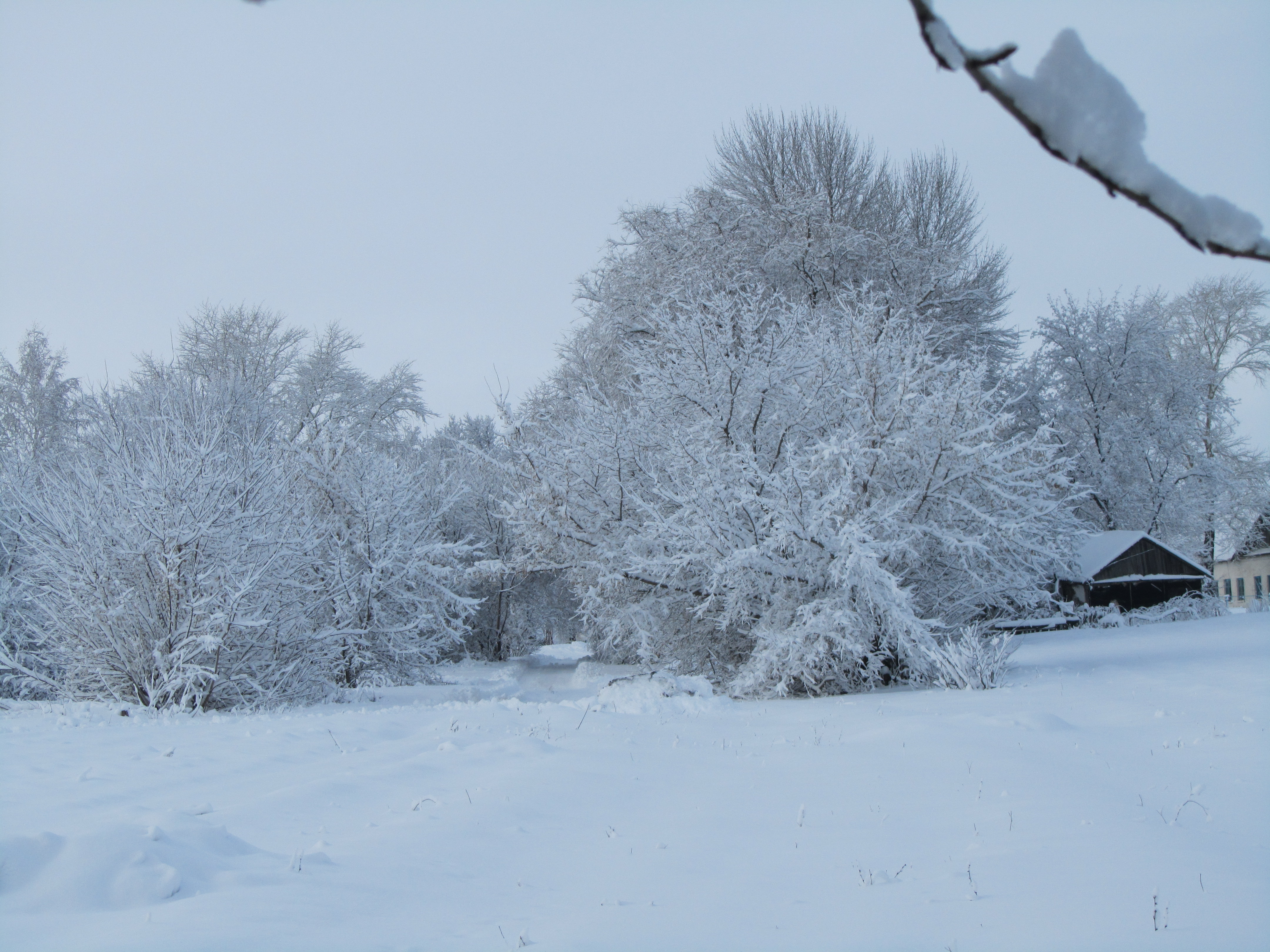 Téléchargez des papiers peints mobile Hiver, Terre/nature gratuitement.