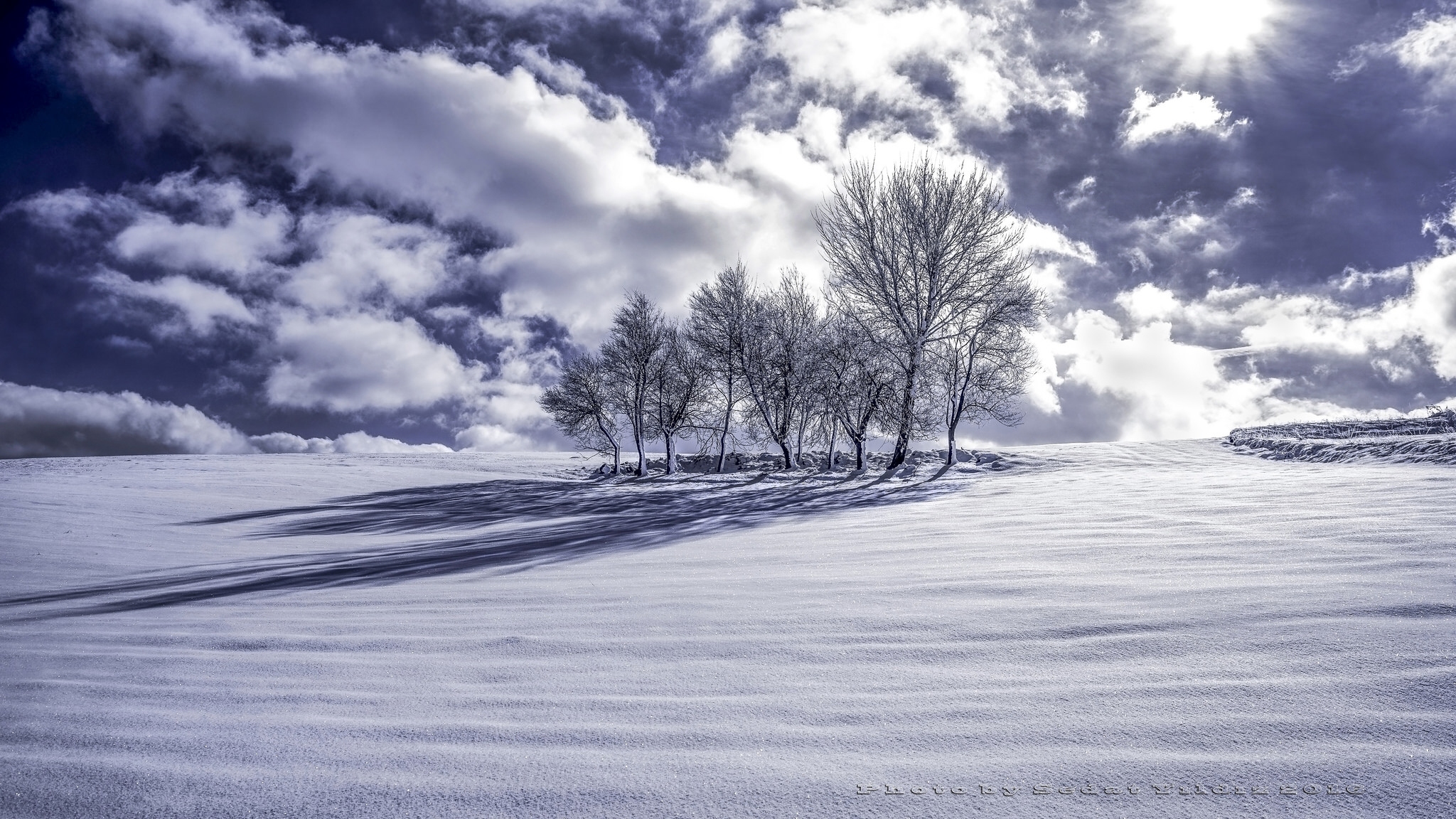 Download mobile wallpaper Winter, Snow, Tree, Earth for free.