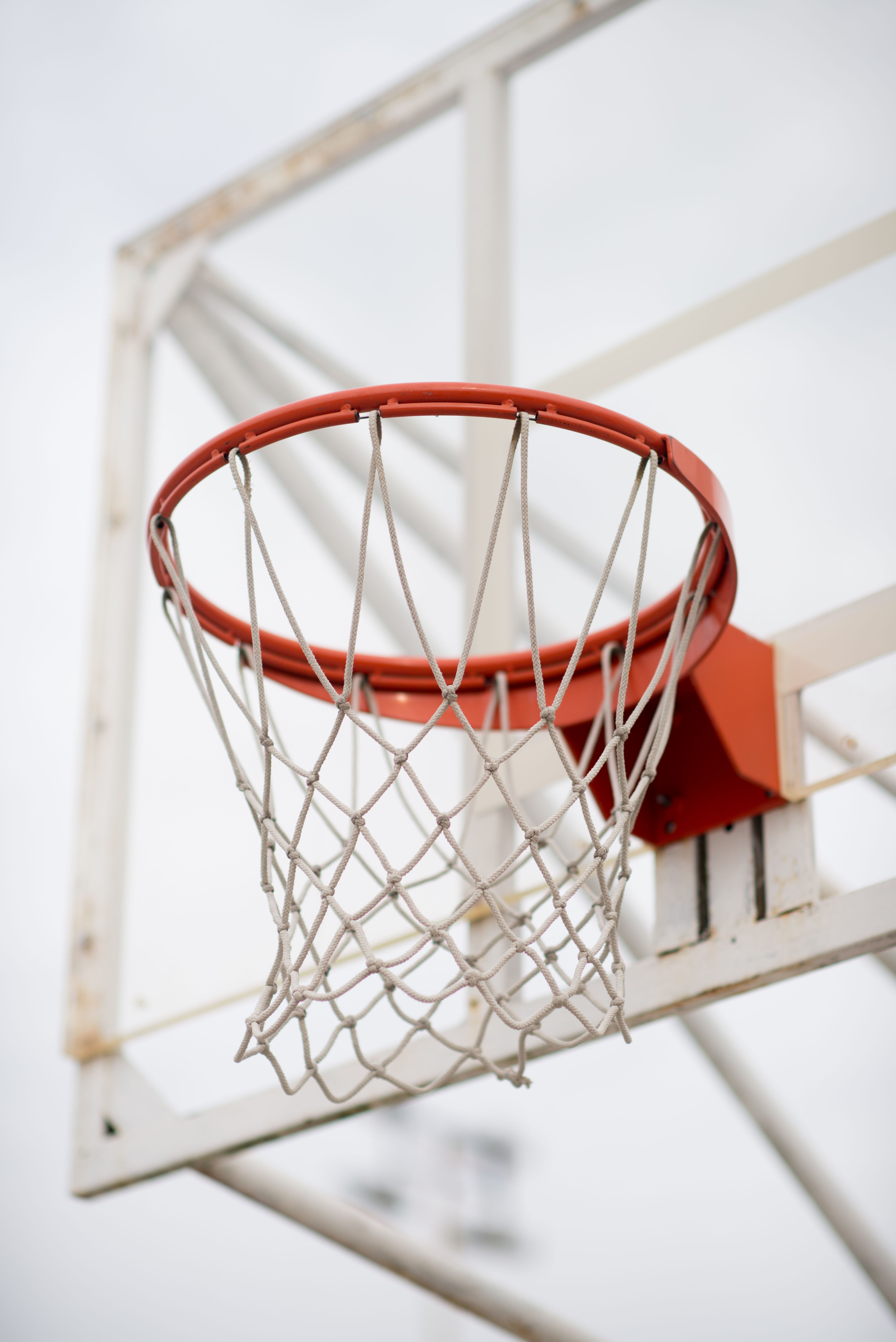 HD wallpaper sports, basketball, ring, basketball hoop, basketball ring