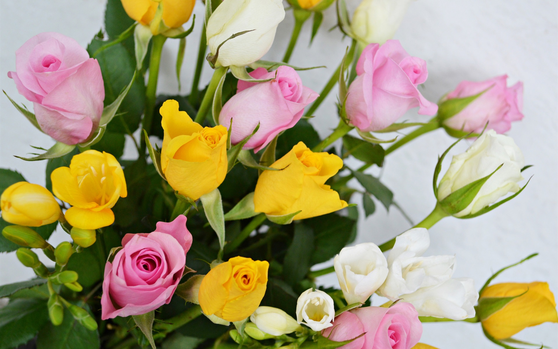 Download mobile wallpaper Flowers, Flower, Rose, Bouquet, Earth, Spring, Yellow Flower, White Flower, Pink Flower for free.