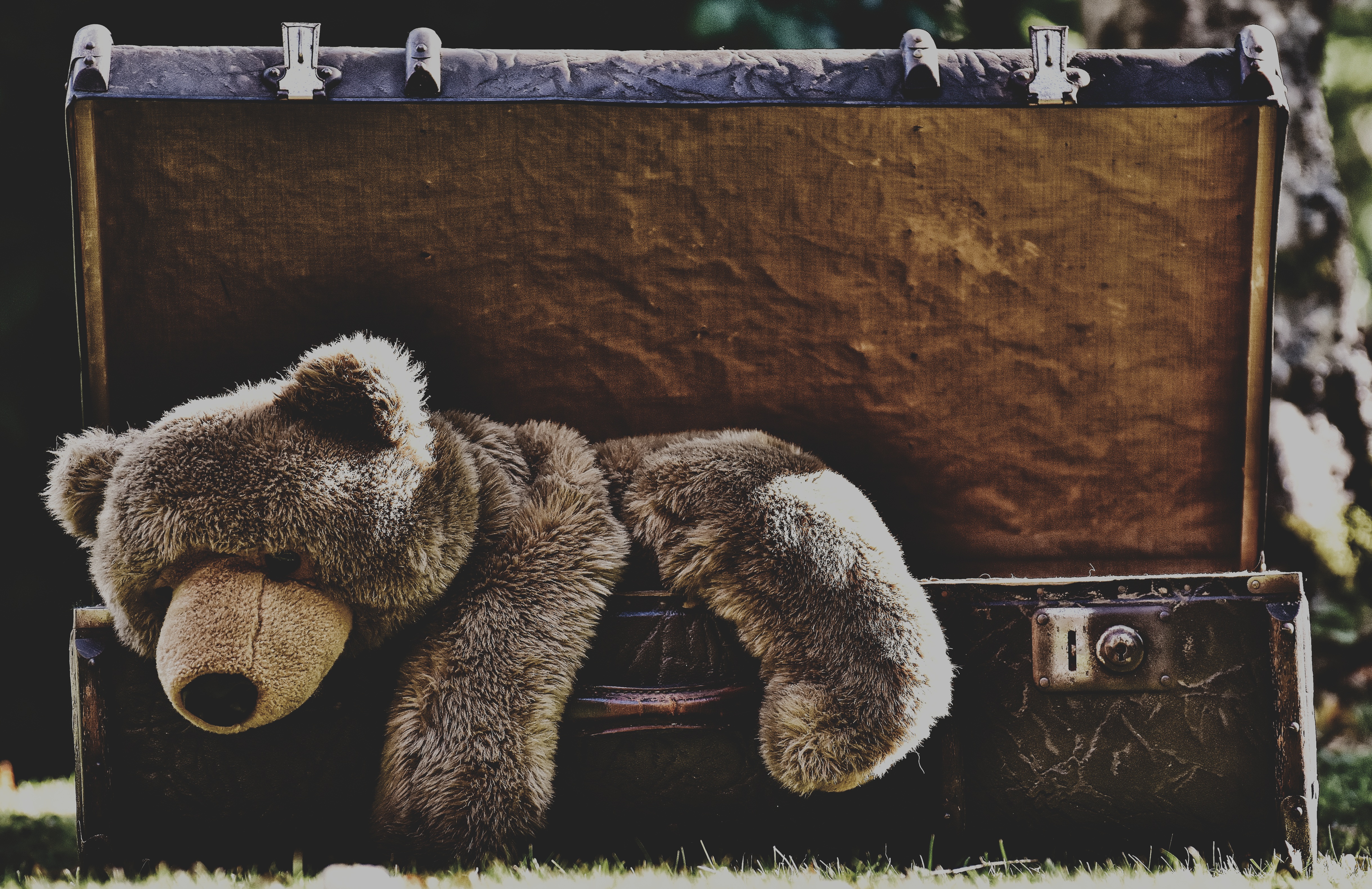 124004 baixar imagens miscelânea, variado, suportar, urso, brinquedo, tristeza, urso teddy, urso de pelúcia, mala - papéis de parede e protetores de tela gratuitamente