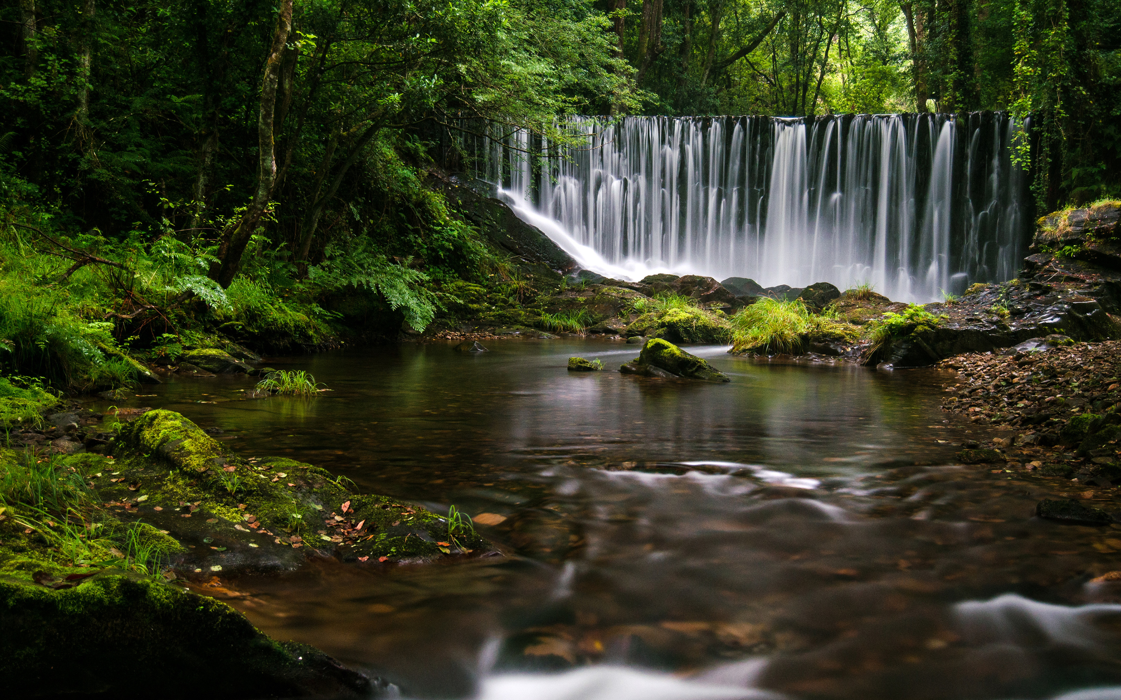 Download mobile wallpaper Waterfalls, Waterfall, Vegetation, Earth, Rainforest for free.