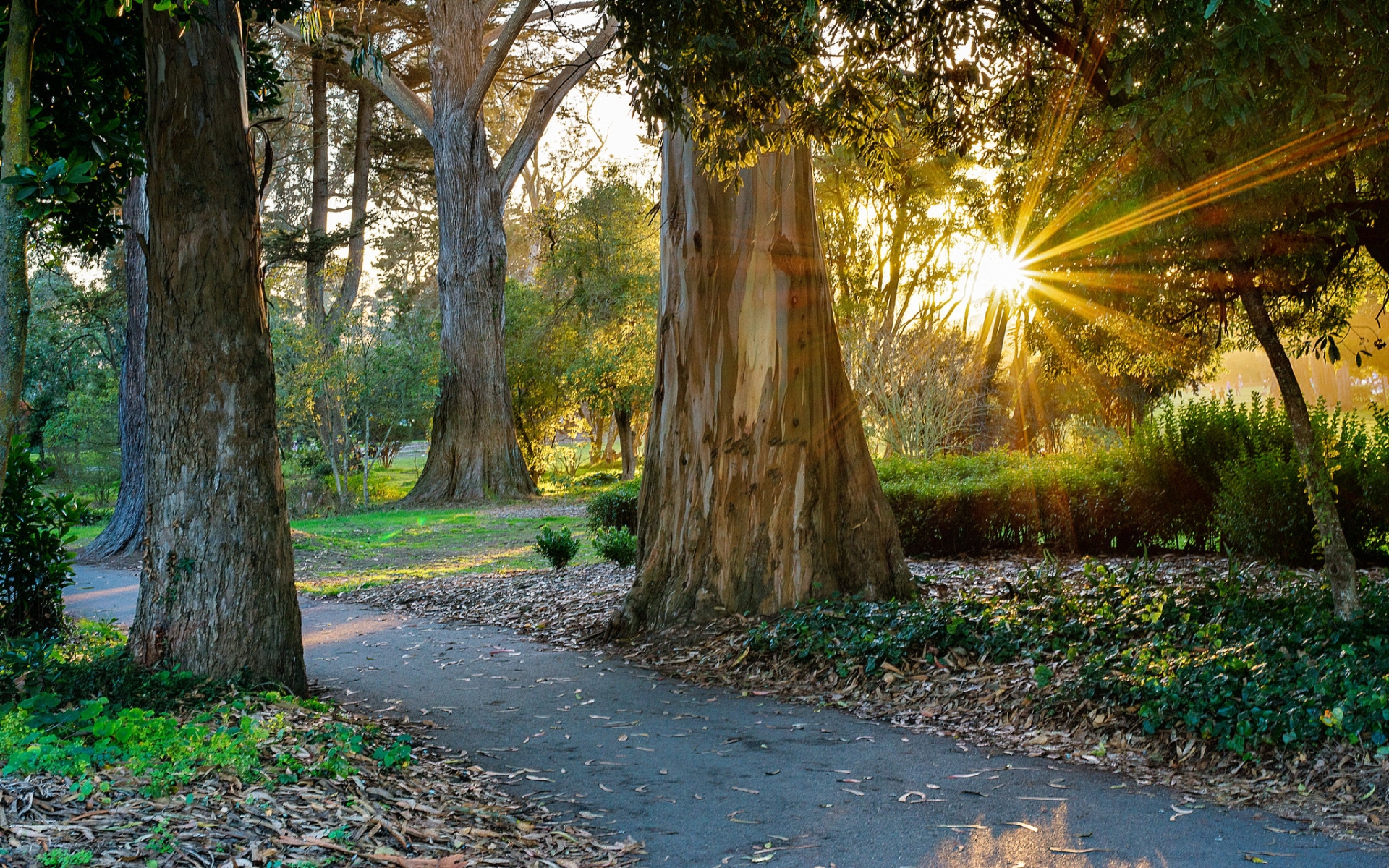 Handy-Wallpaper Menschengemacht, Golden Gate Park kostenlos herunterladen.