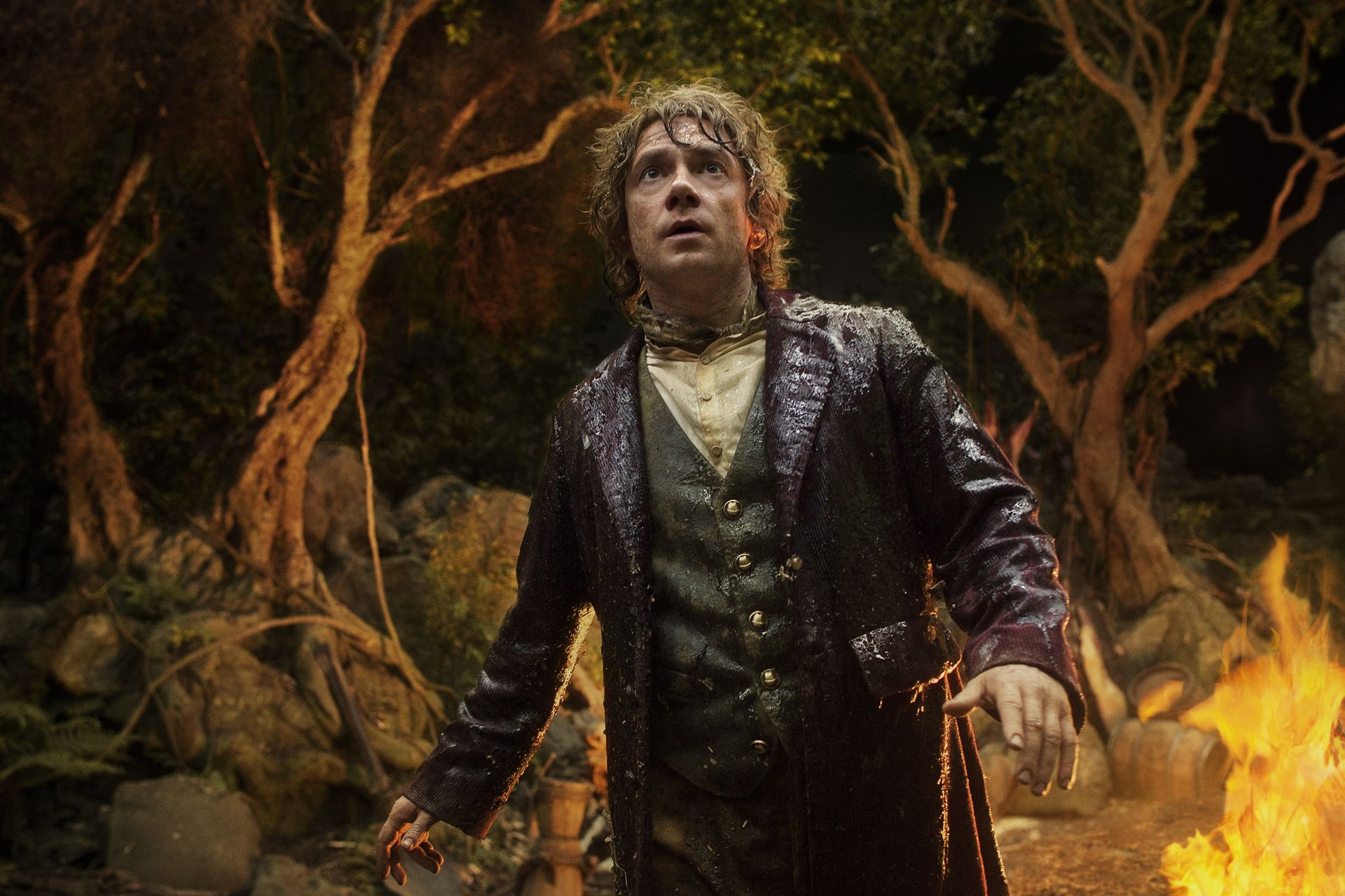 Téléchargez des papiers peints mobile Le Hobbit : La Désolation De Smaug, Le Seigneur Des Anneaux, Film gratuitement.
