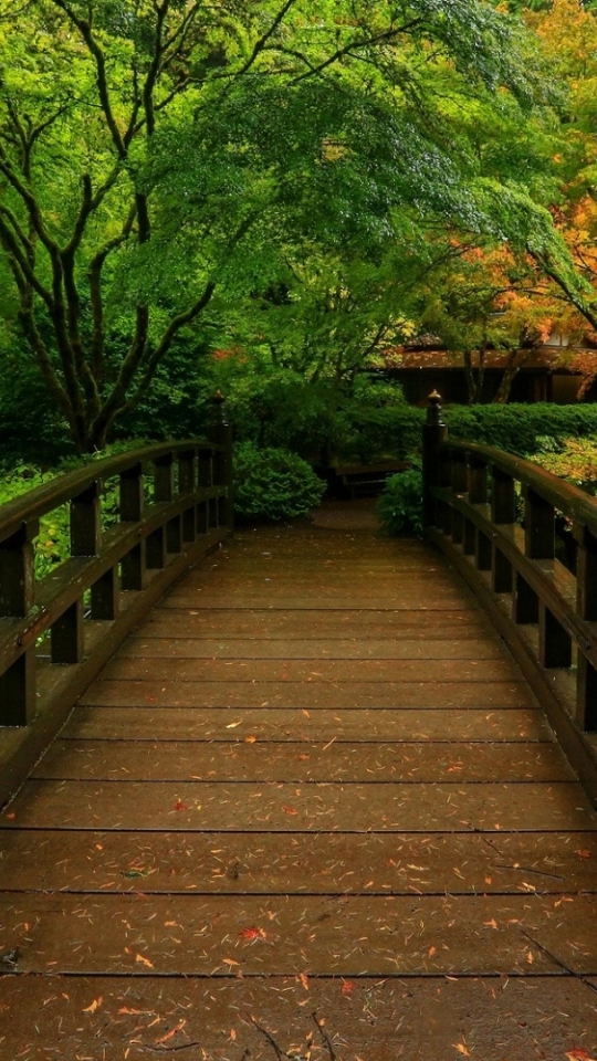 Download mobile wallpaper Fall, Bridge, Man Made, Japanese Garden for free.