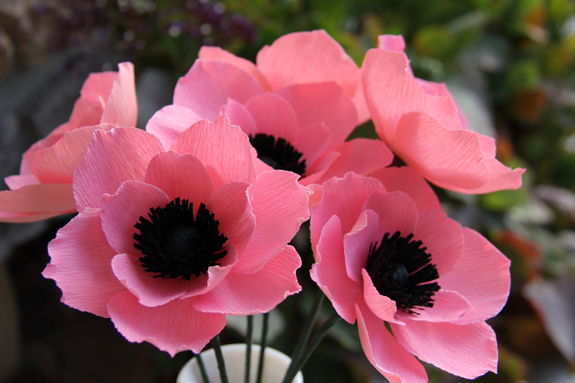 無料モバイル壁紙フラワーズ, 花, 地球, アネモネ, ピンクの花をダウンロードします。
