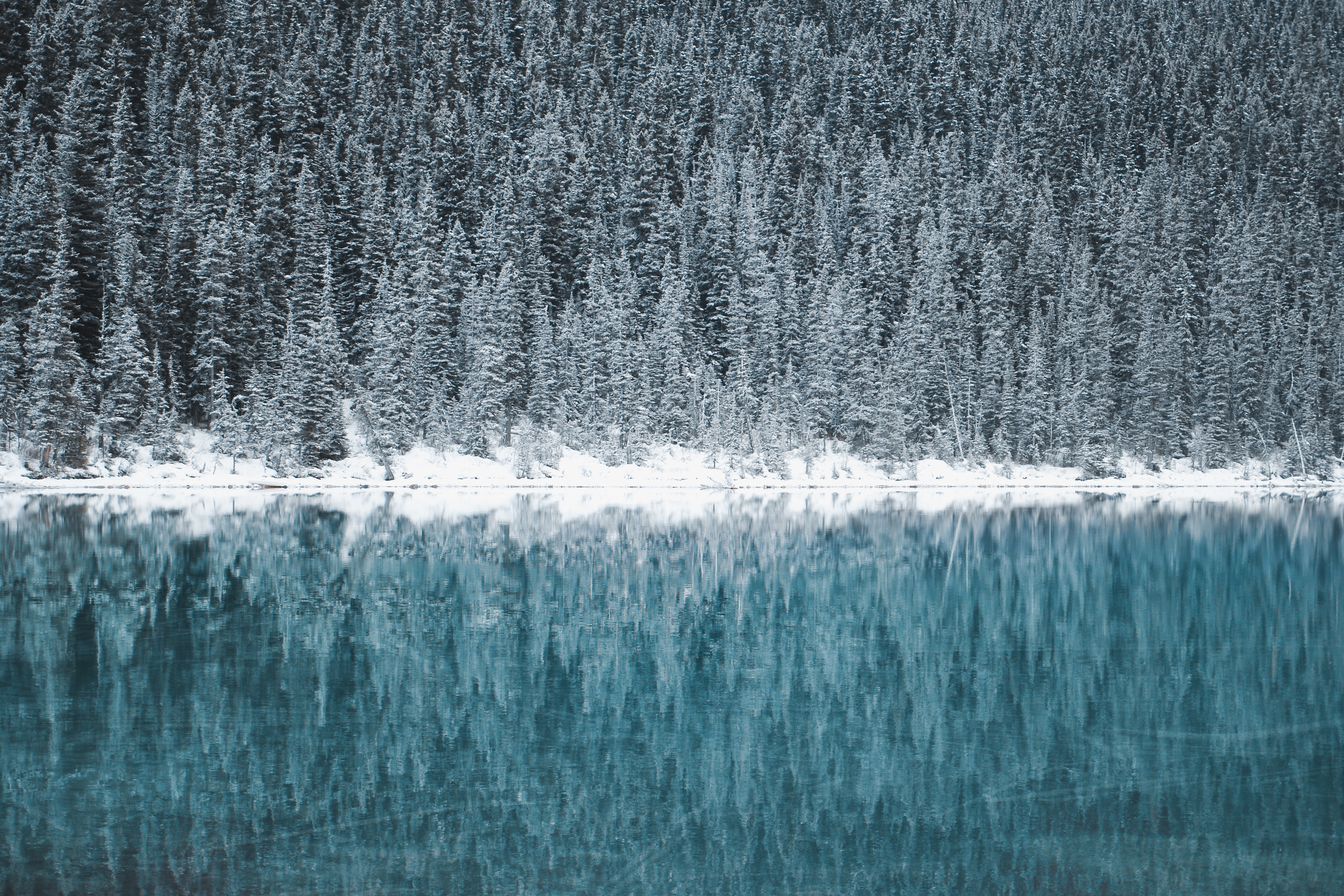 470620 Bild herunterladen erde/natur, lake louise, kanada, seen - Hintergrundbilder und Bildschirmschoner kostenlos