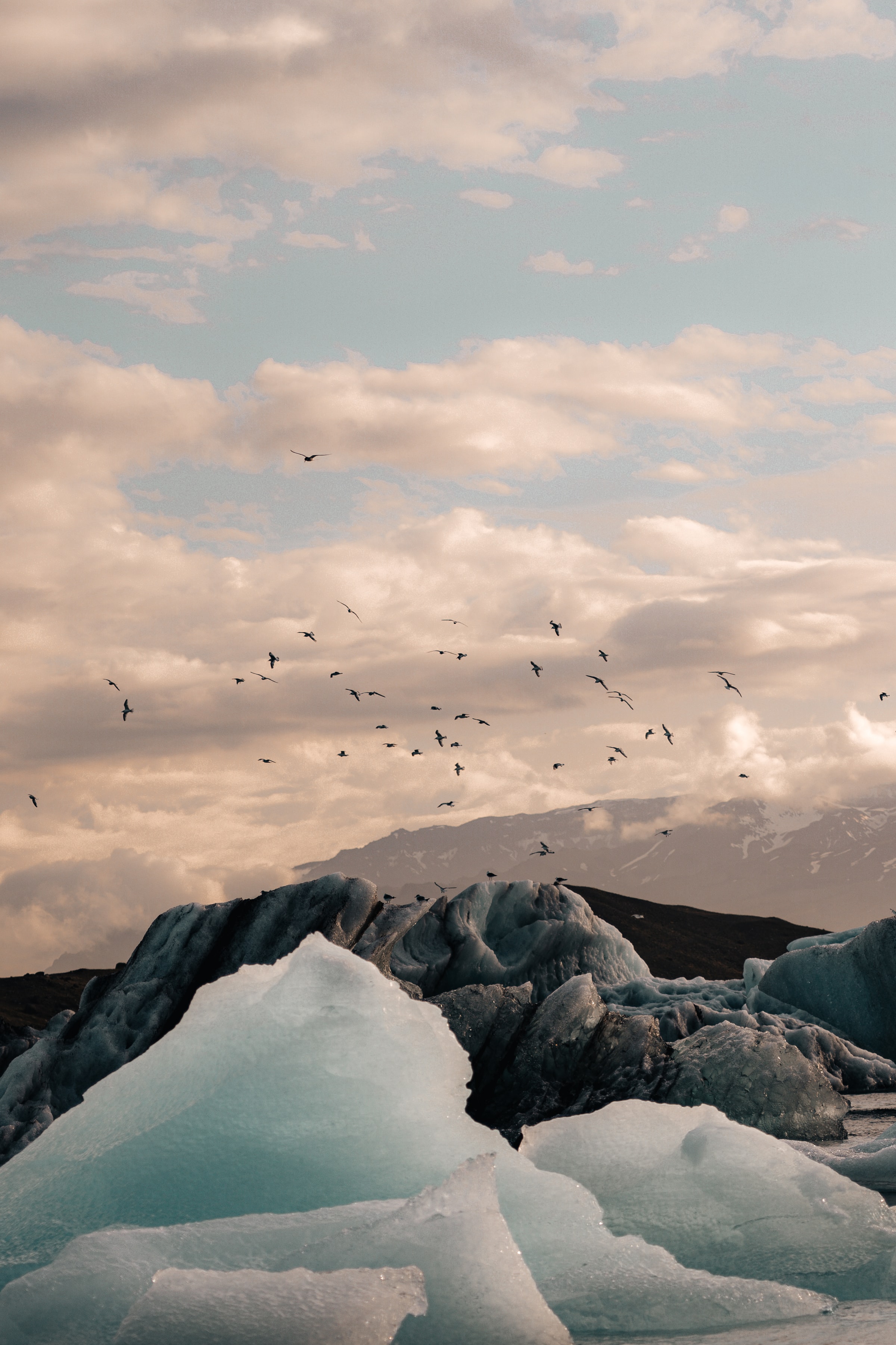nature, birds, mountains, ice, rocks, ice floes