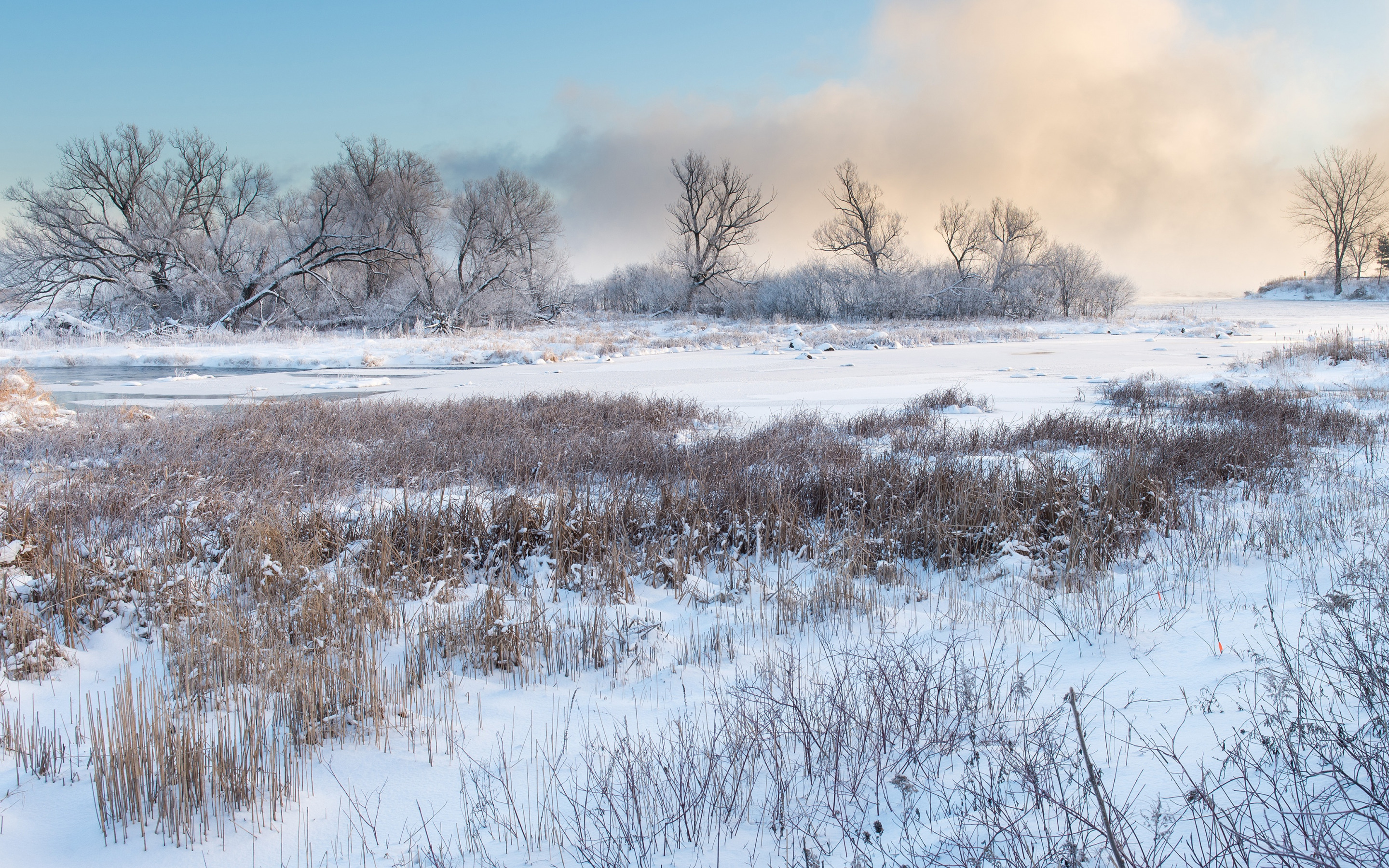 Handy-Wallpaper Winter, Erde/natur kostenlos herunterladen.