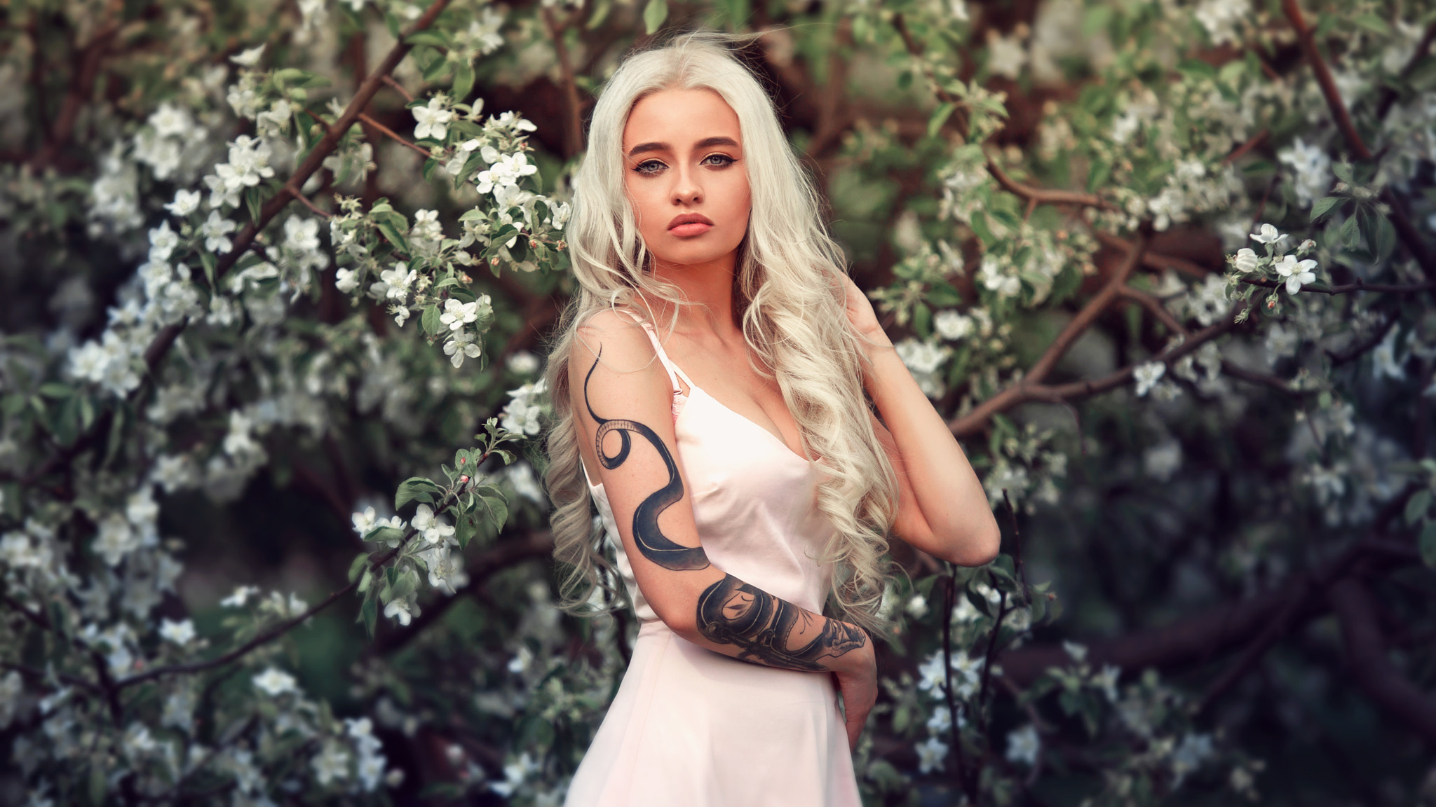 Download mobile wallpaper Tattoo, Model, Women, Blue Eyes, Blossom, Long Hair, White Hair, White Dress for free.