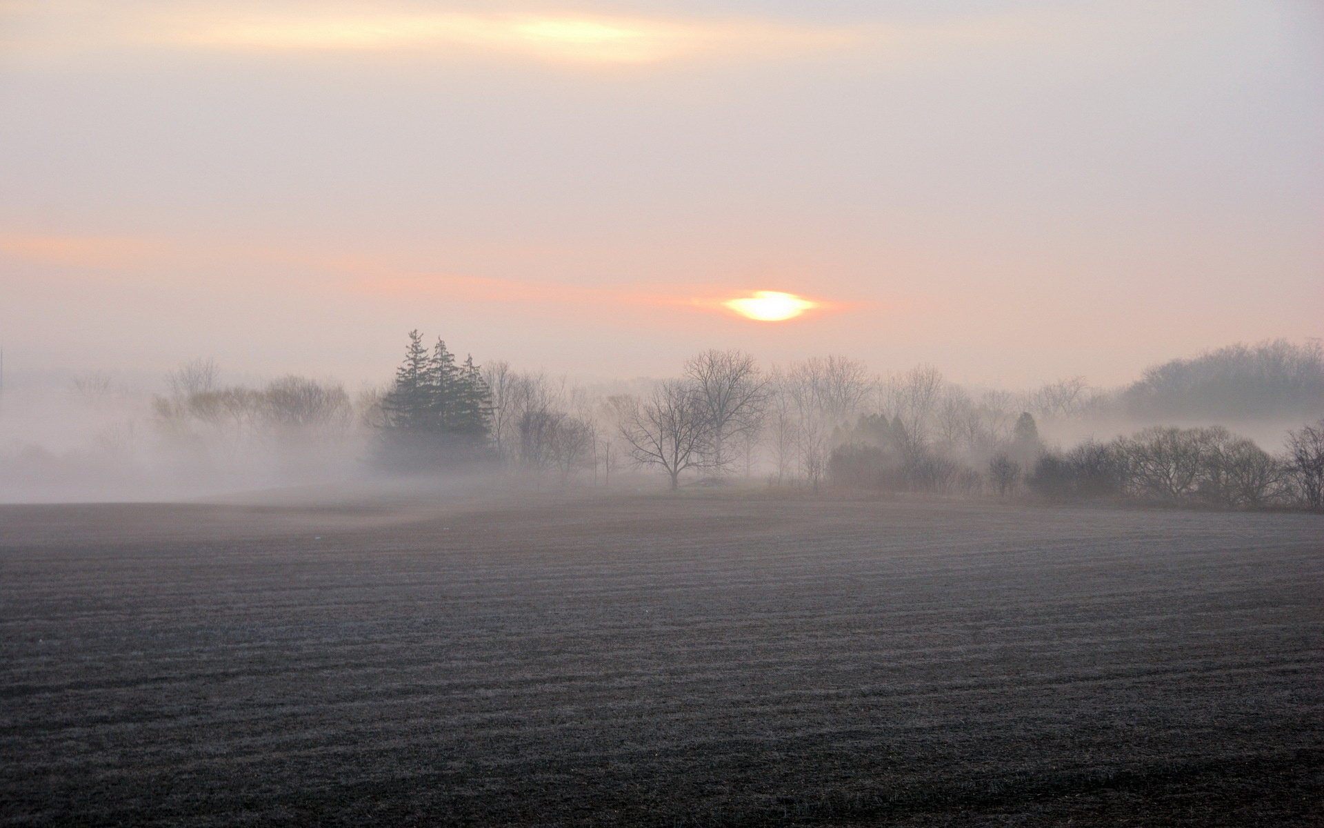 Download mobile wallpaper Fog, Sunrise, Earth for free.