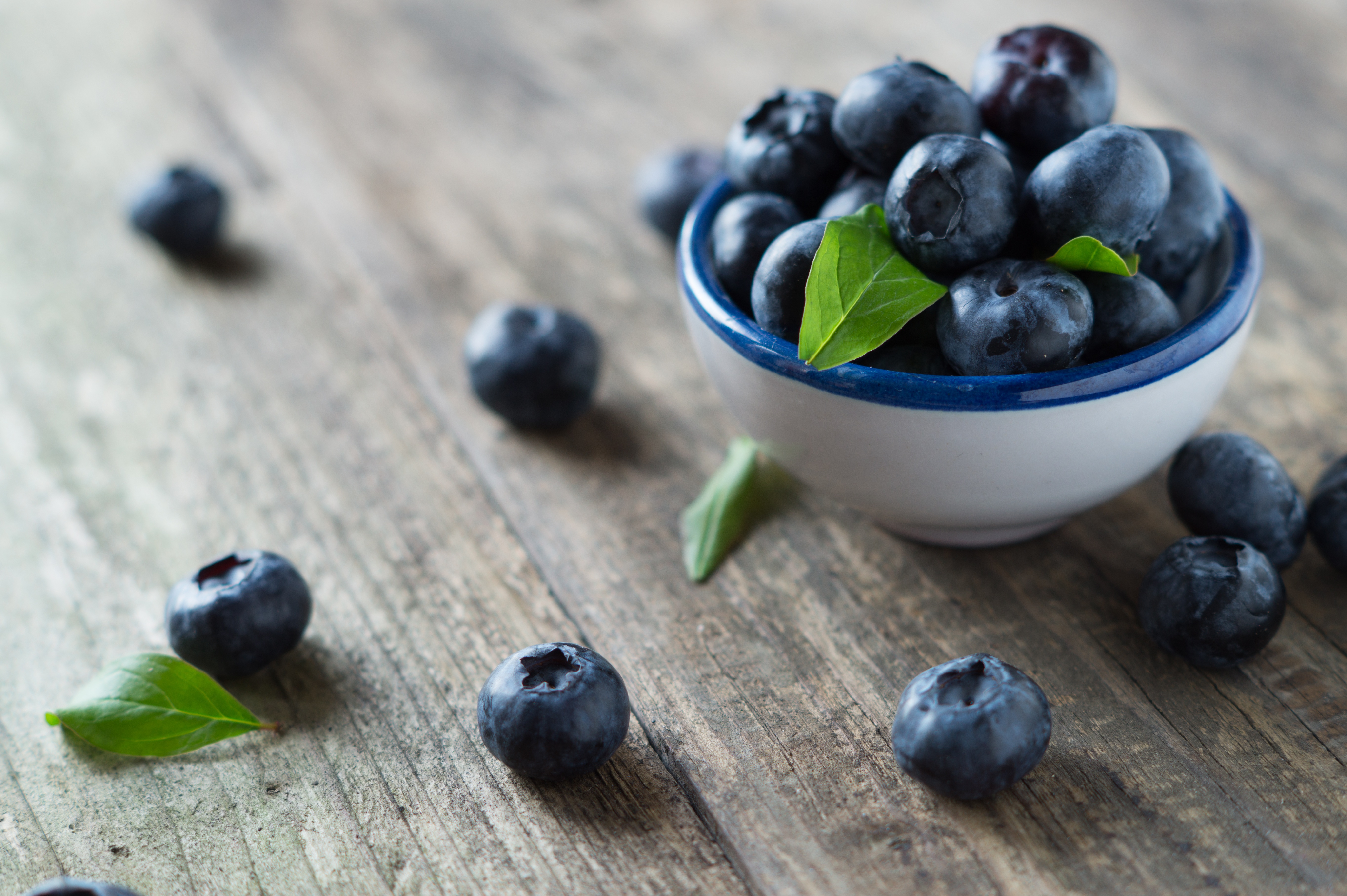 Free download wallpaper Food, Blueberry, Berry, Fruit on your PC desktop