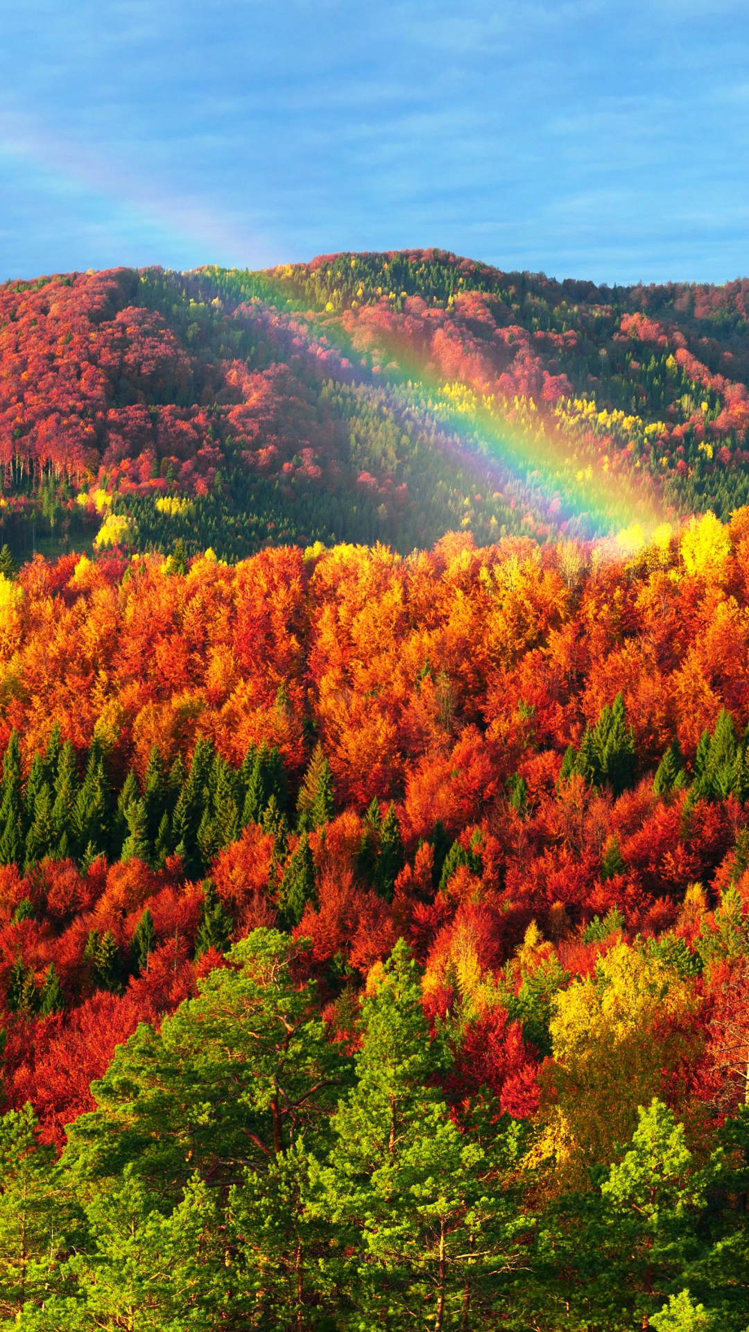 無料モバイル壁紙風景, 自然, 秋, 森, 地球, 虹をダウンロードします。