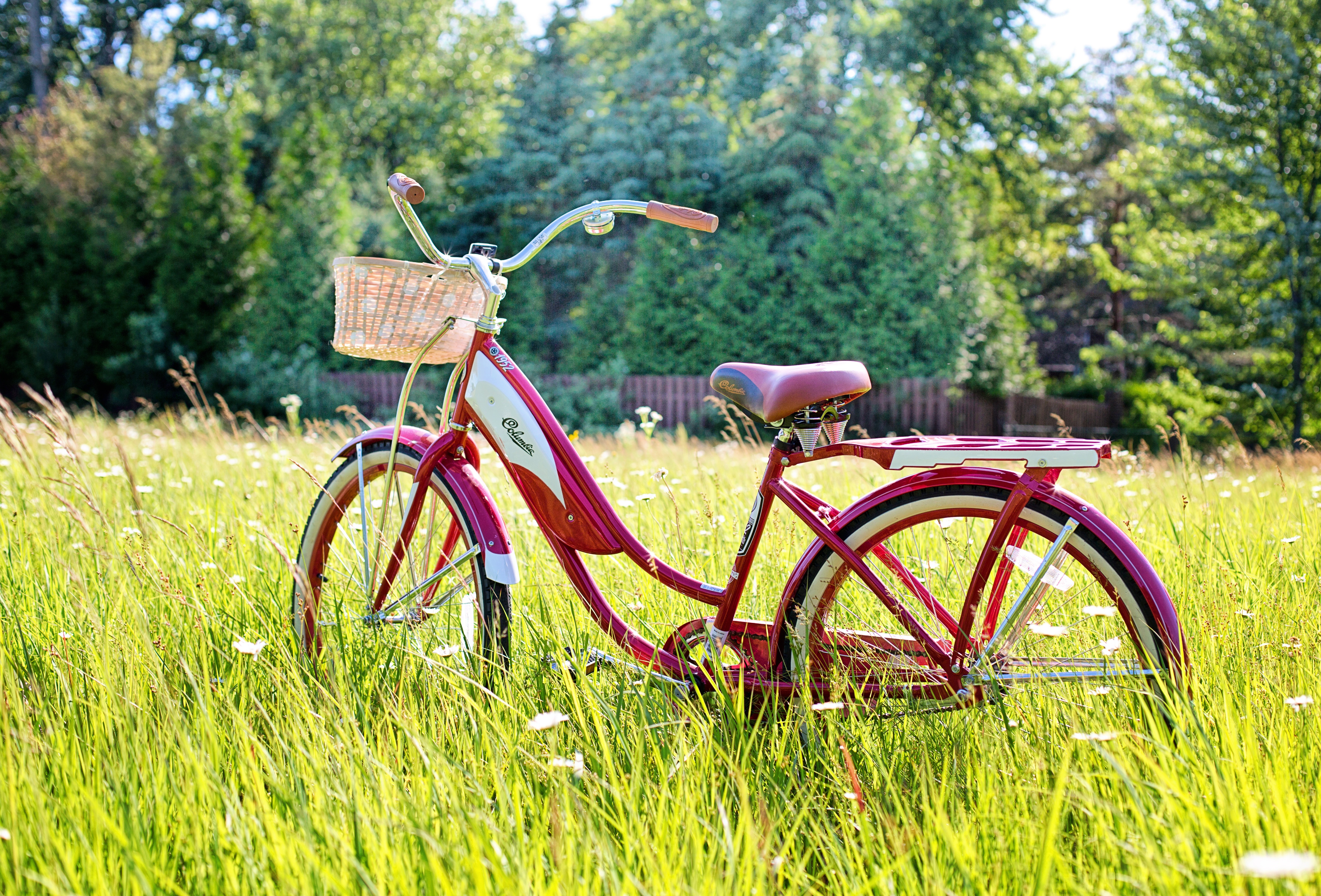 summer, miscellanea, miscellaneous, vintage, sunlight, bicycle Full HD