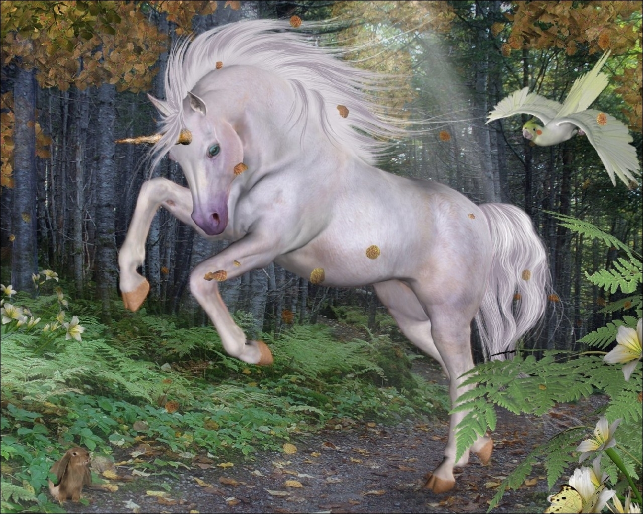 Descarga gratis la imagen Fantasía, Unicornio en el escritorio de tu PC