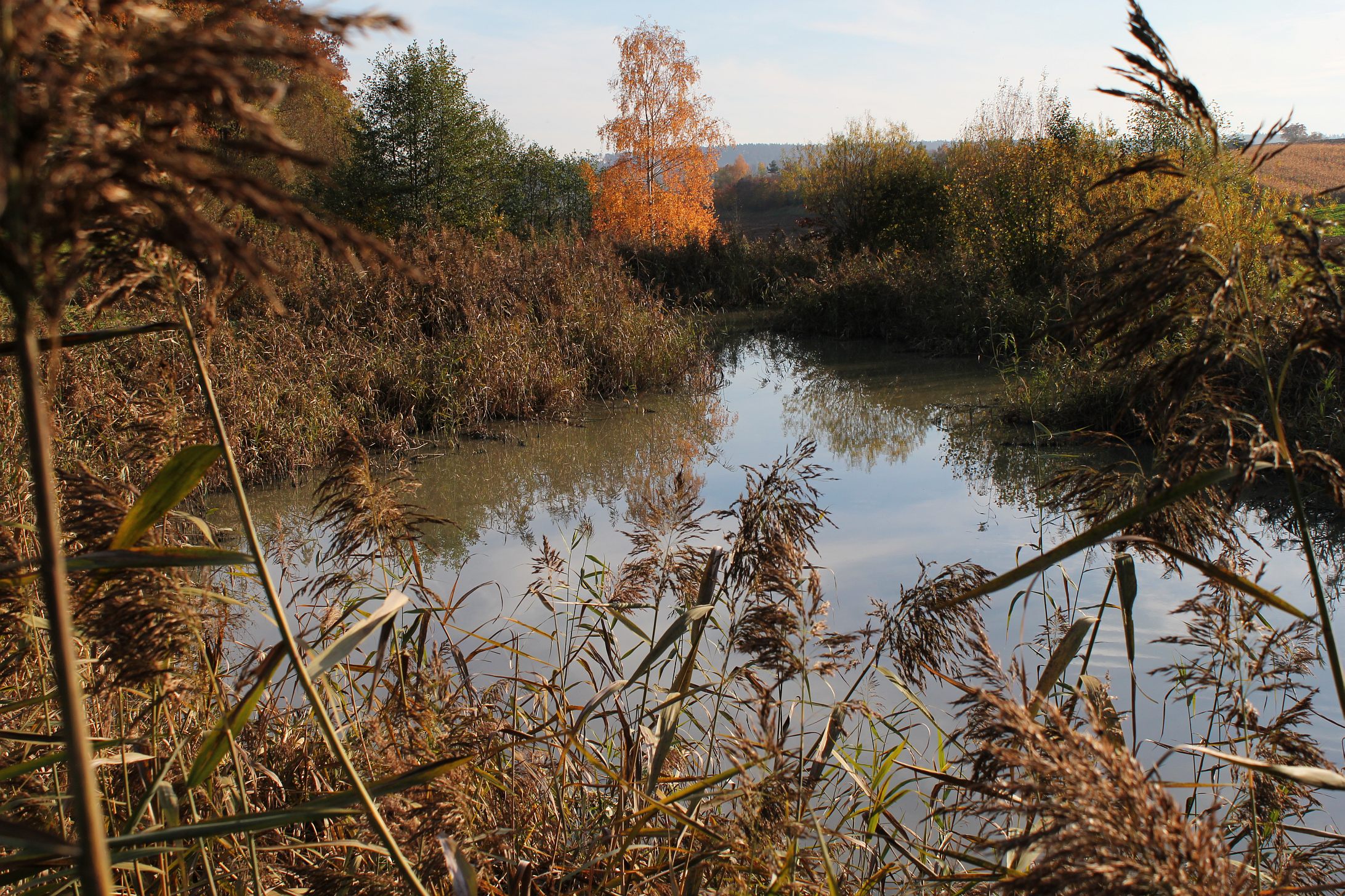 Téléchargez des papiers peints mobile Lac, Terre/nature gratuitement.