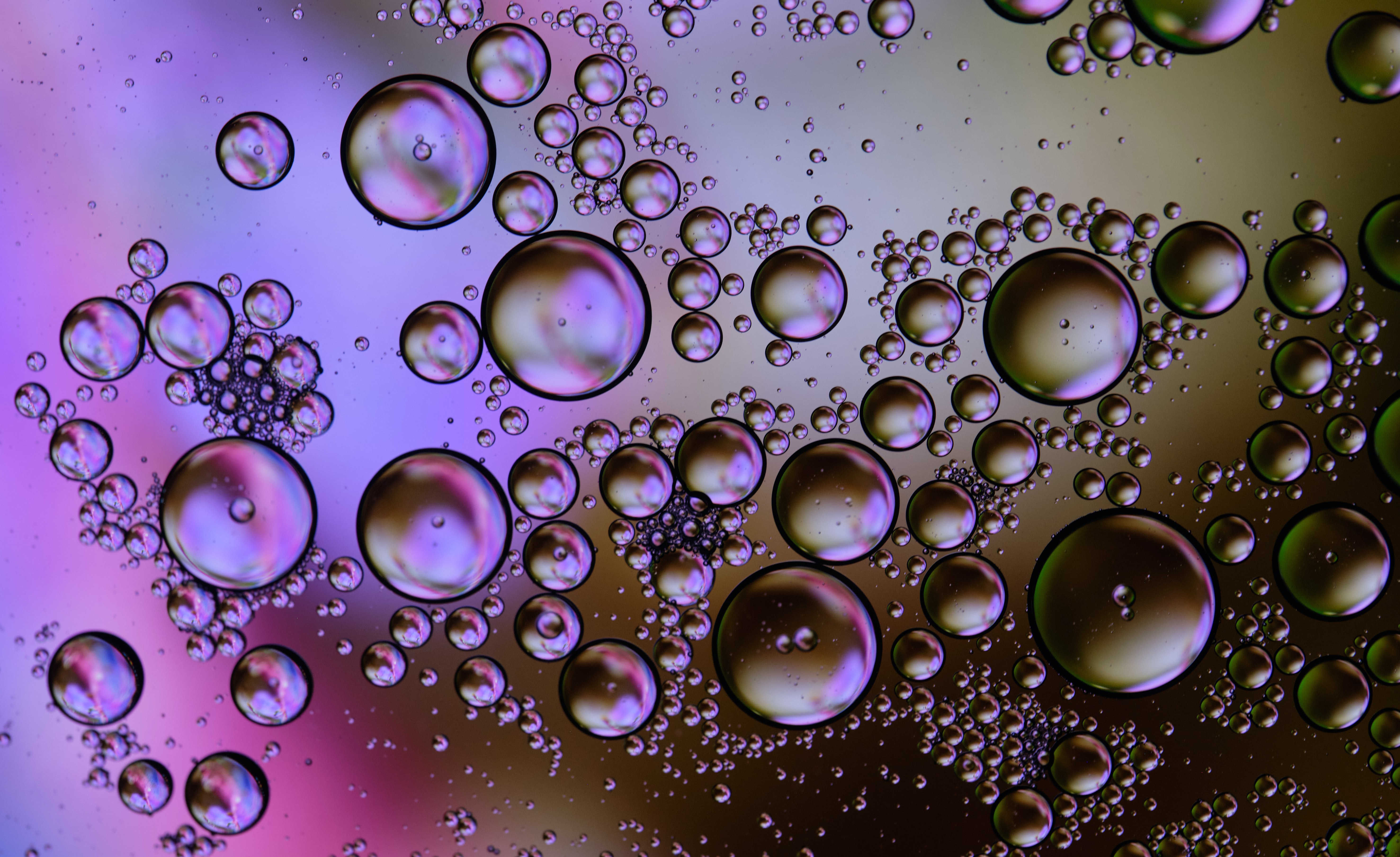 bubbles, abstract, water, circles, gradient 4K, Ultra HD