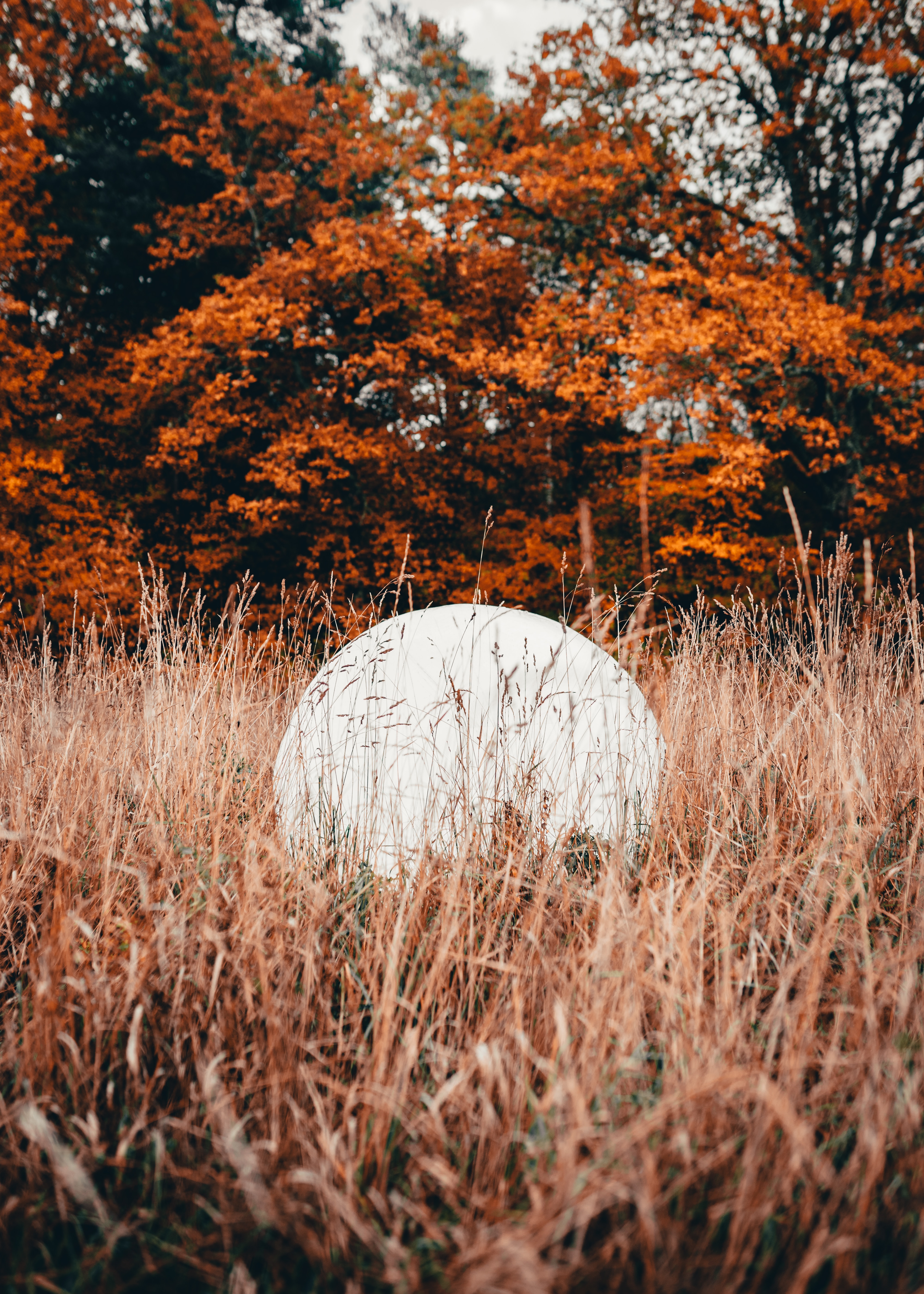 Download mobile wallpaper Trees, Grass, Ball, Nature for free.