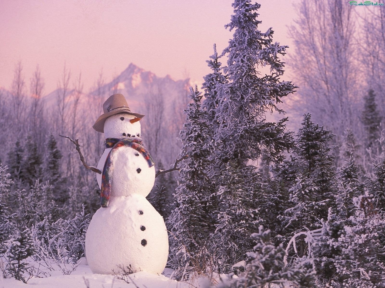 landscape, winter, new year, snow, fir trees, christmas xmas, snowman