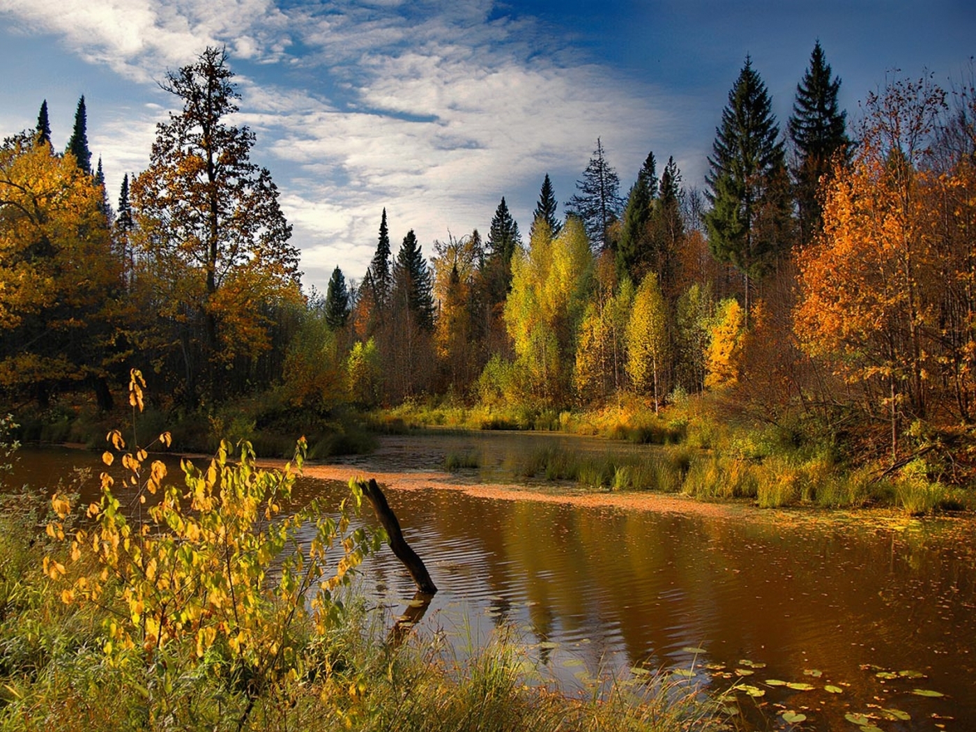 Скачать обои бесплатно Пейзаж, Река, Осень картинка на рабочий стол ПК