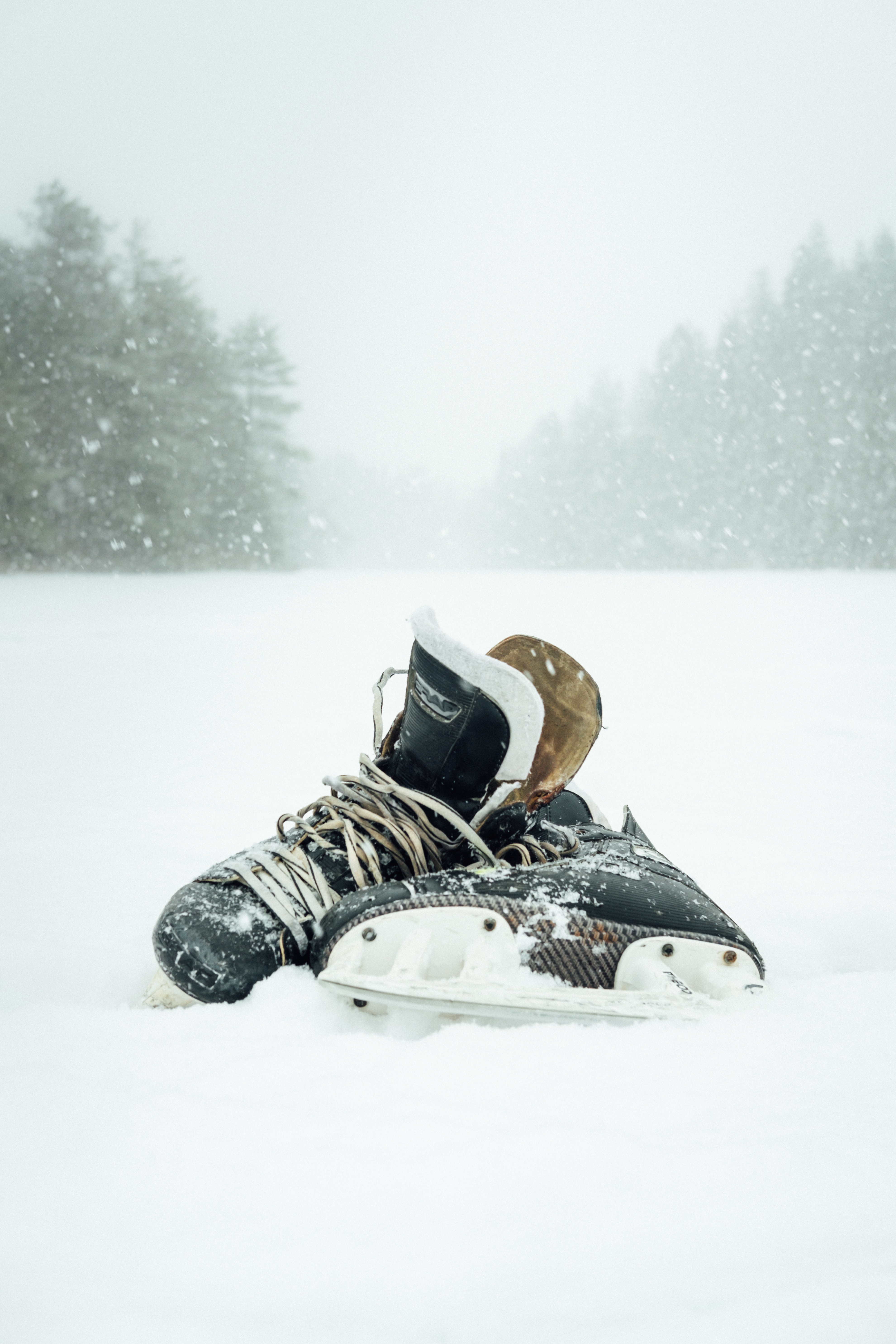 91466画像をダウンロードスケート, スポーツ, 冬, 雪, 降雪-壁紙とスクリーンセーバーを無料で